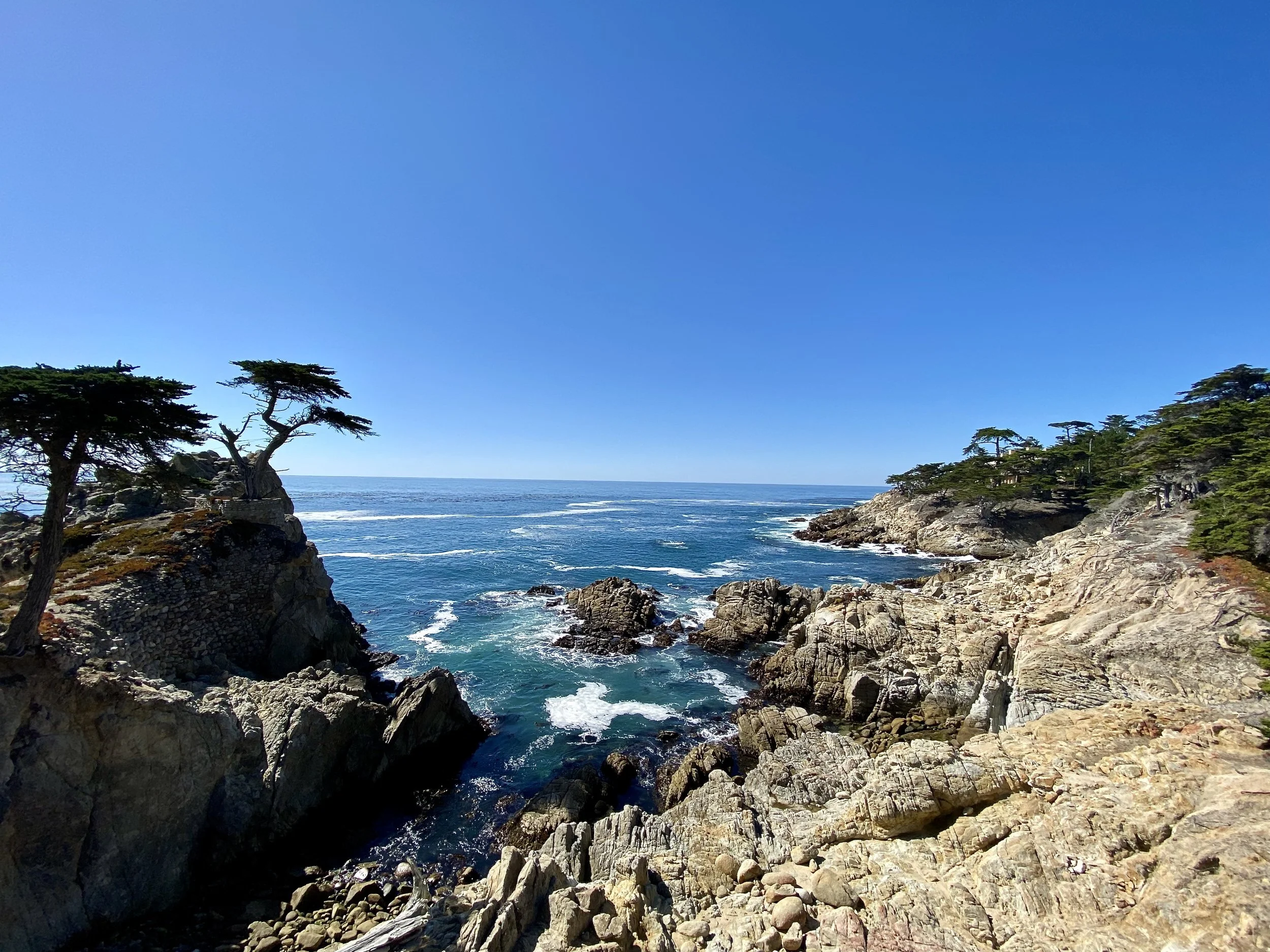 Coastal scene with rocky cliffs, pine trees, and ocean waves under a clear blue sky.