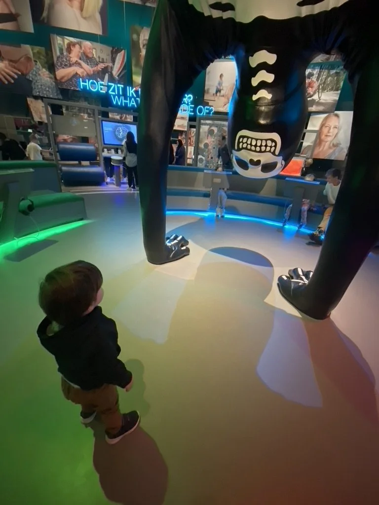 Young boy inside a museum exhibit with a large upside-down black skeleton figure, illuminated by colorful lights, and with photos and screens on the wall in the background.