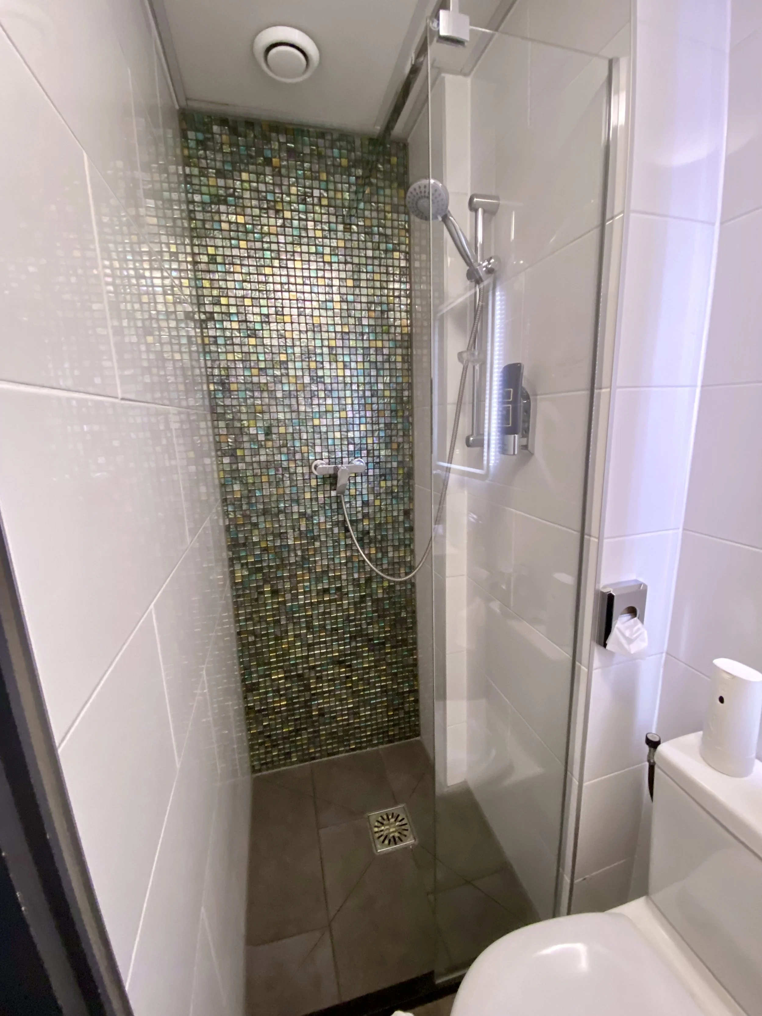 A small modern bathroom with a shower area featuring a colorful mosaic tile accent wall. The shower has a handheld showerhead and a built-in ledge. To the right, there is a partial view of a white toilet and accessories including a tissue holder and soap dispenser.