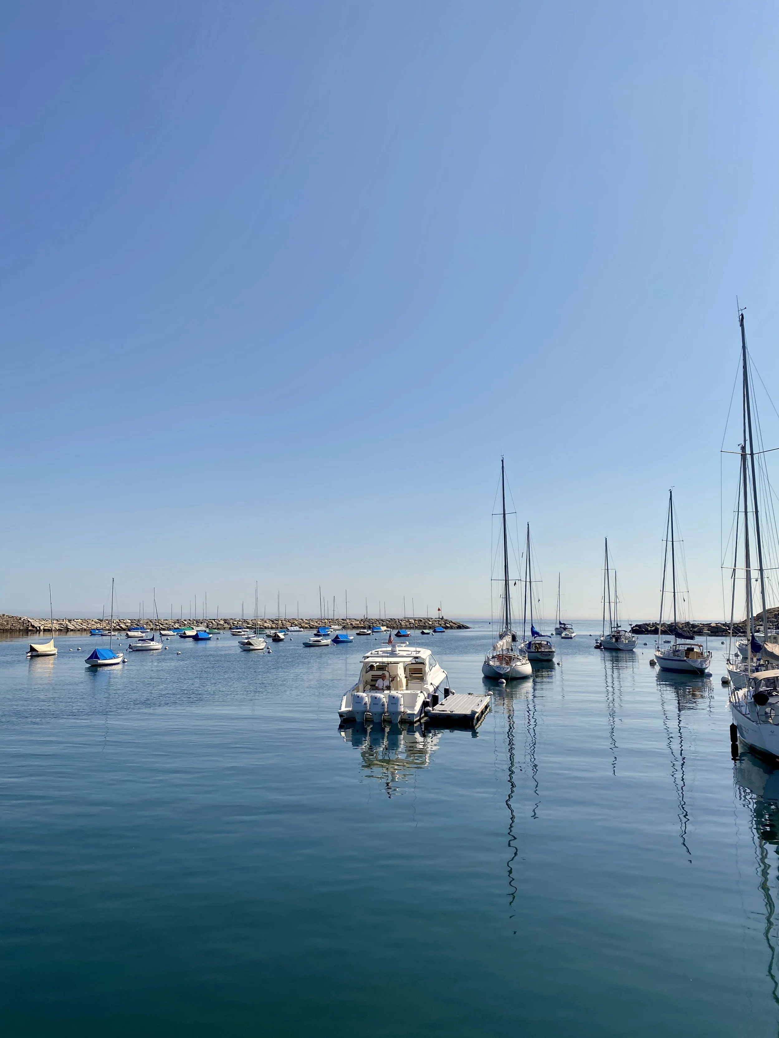 A peaceful marina with various sailboats and yachts docked in calm waters under a clear blue sky.