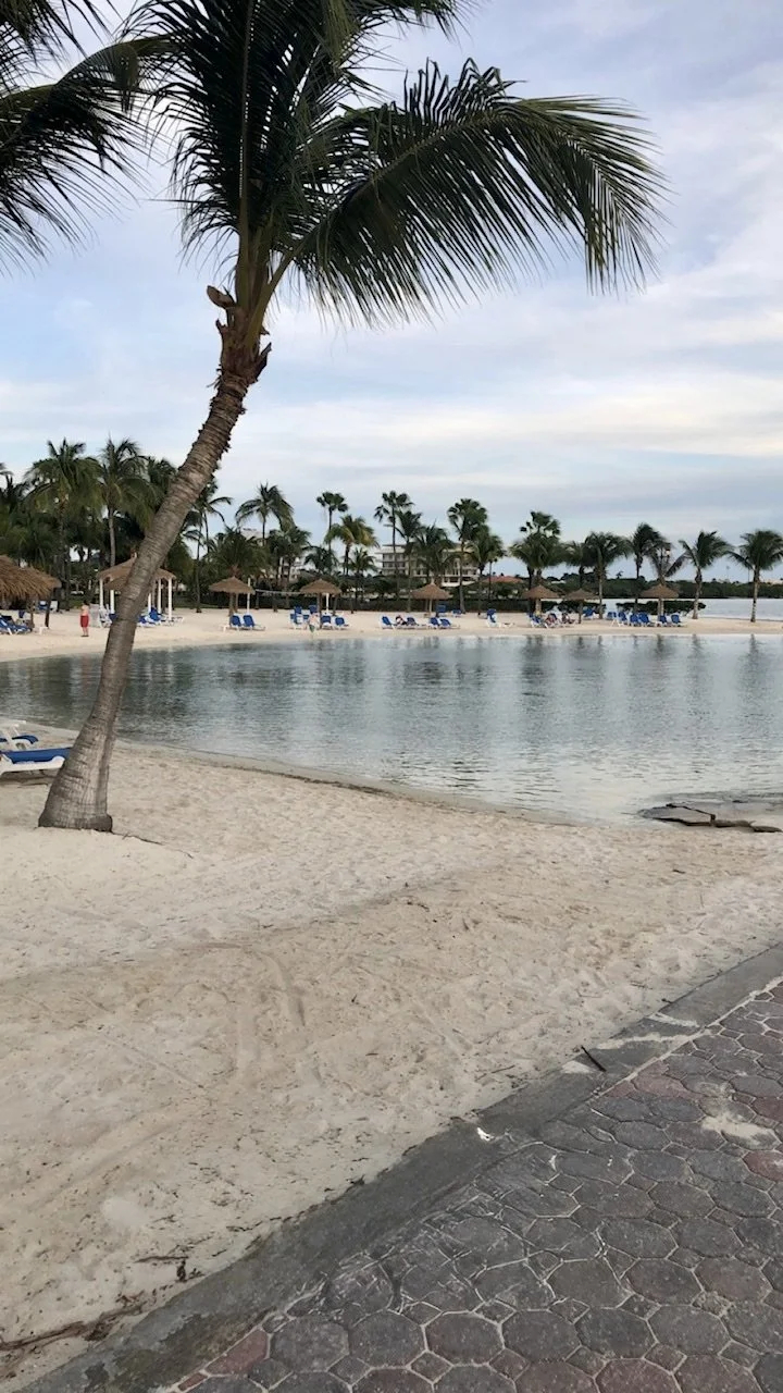 Beach scene with palm trees, a calm water lagoon, sandy shore, lounge chairs, and straw umbrellas under a cloudy sky.