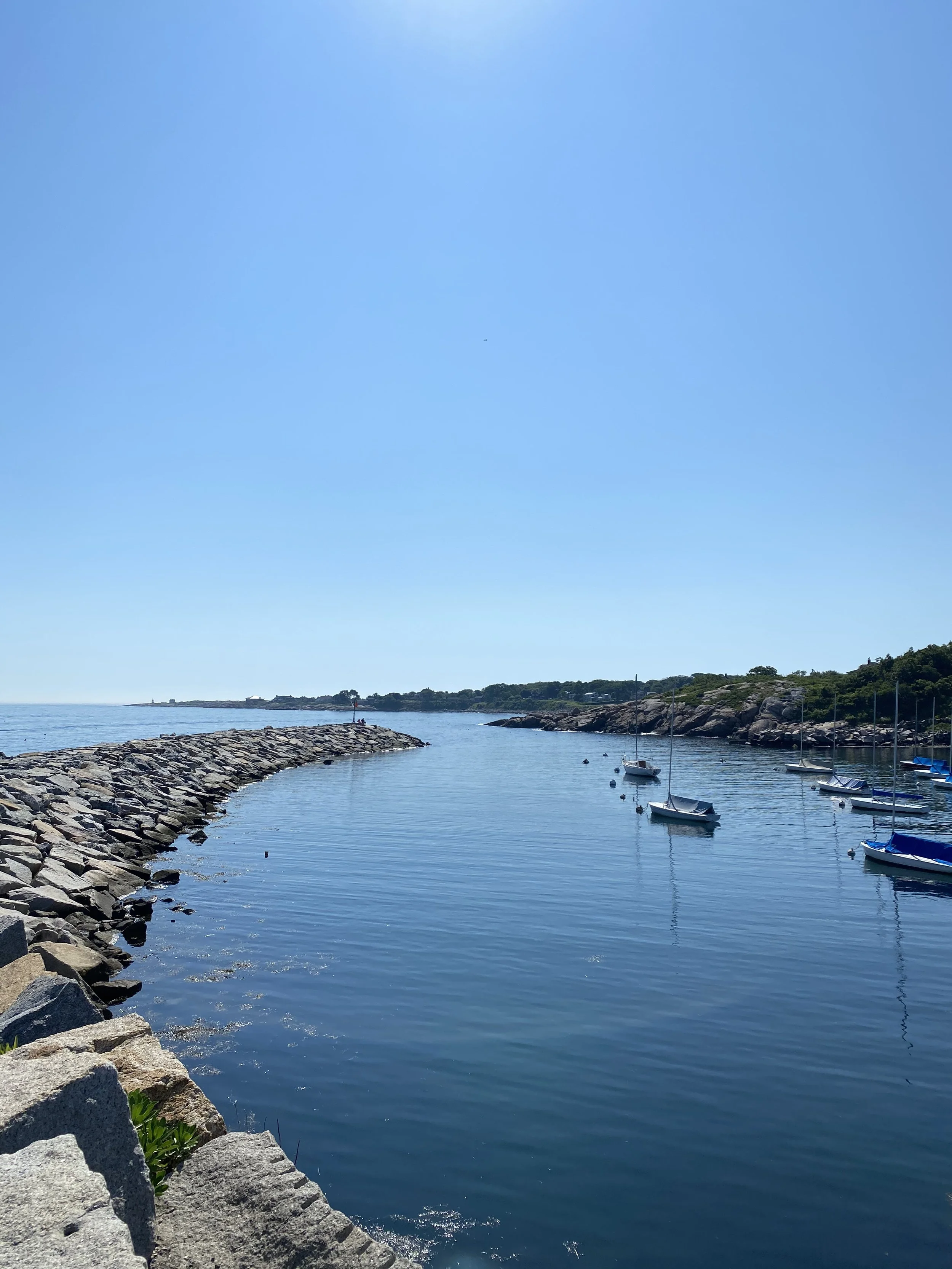 IMG_4843.jpeg