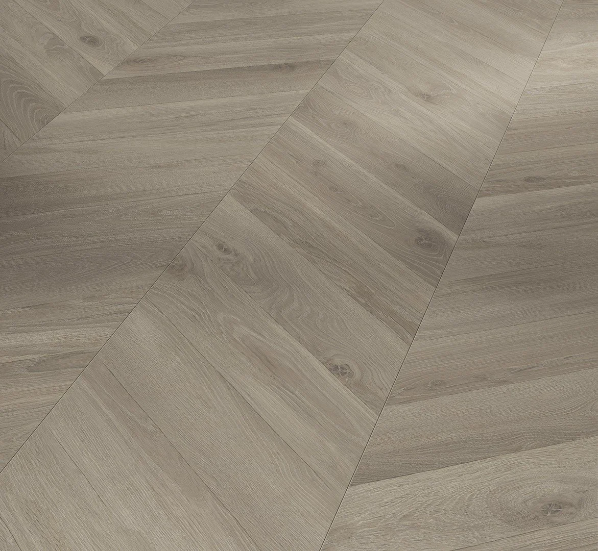 Roble Loire gris - Chevron look - 1748771 - Trendtime 8.jpg