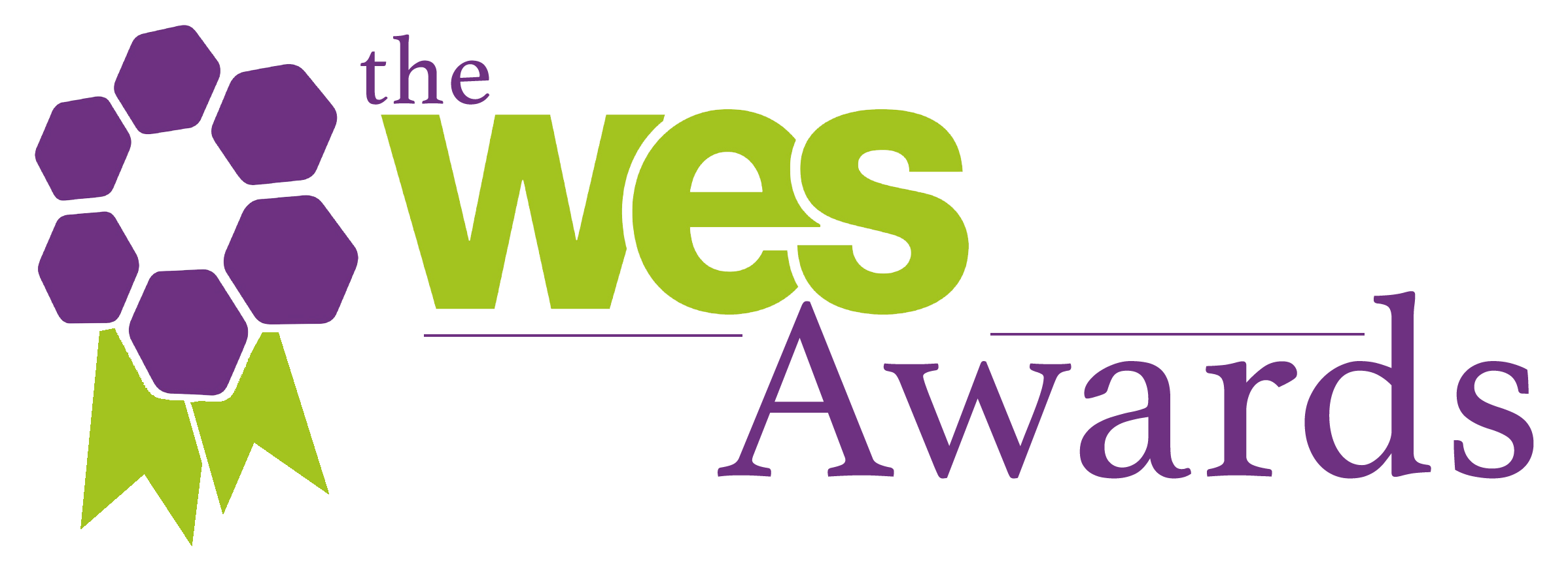 Logo with green and purple text reading "The WES Awareness" with a stylized purple and green design.