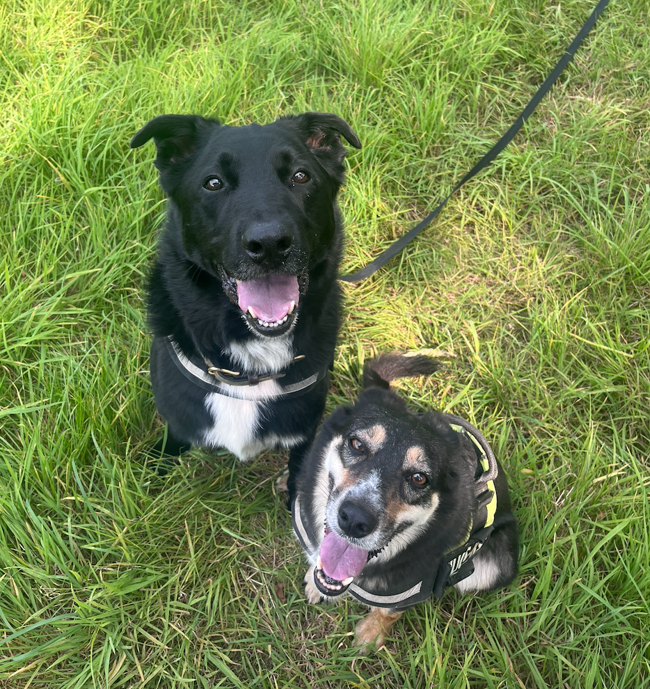 Screenshot 2026-04-14 at 14.23.51.png