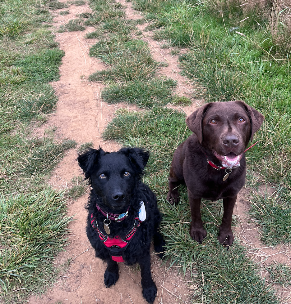 Screenshot 2026-04-14 at 14.16.54.png