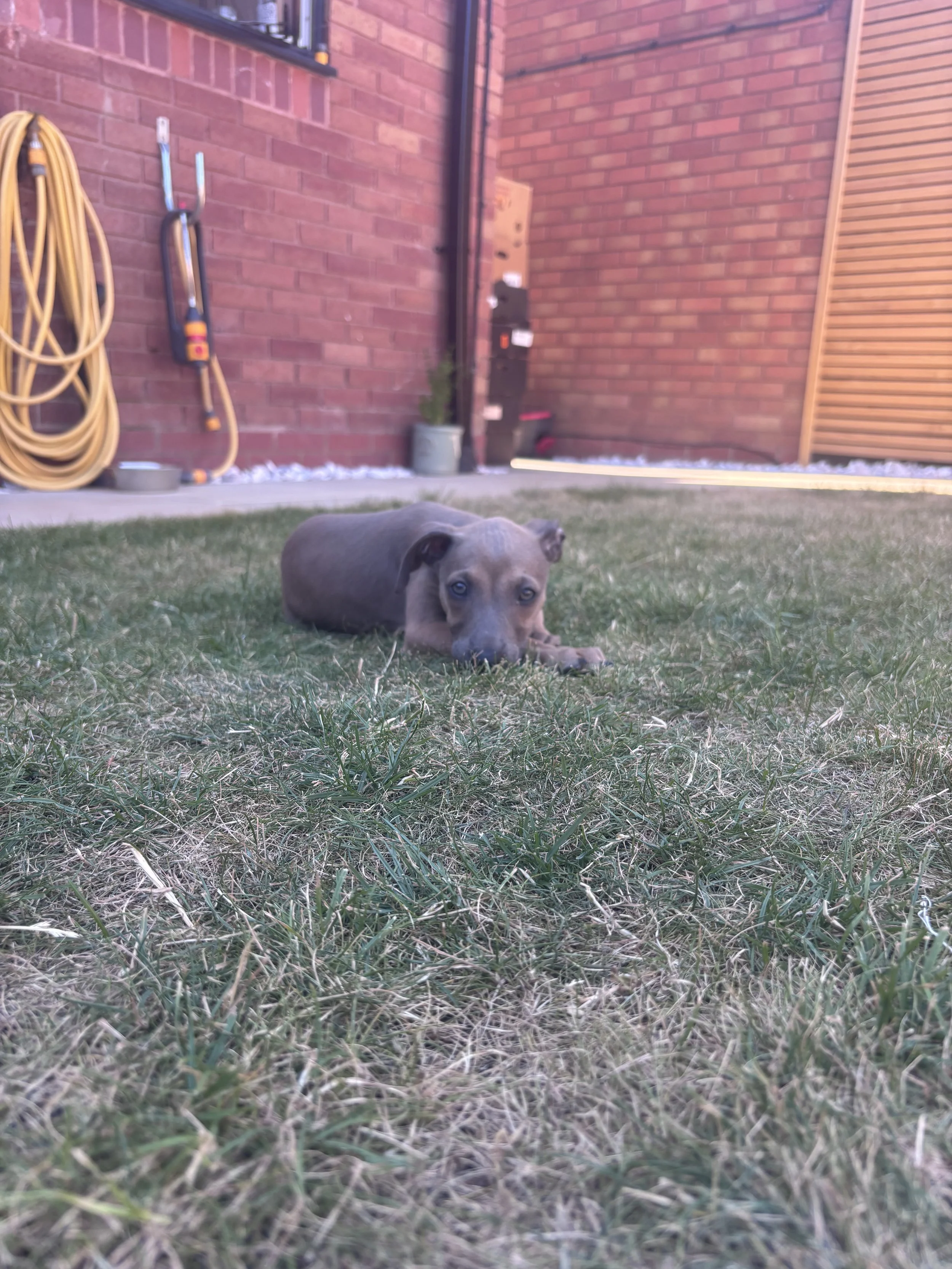 IMG_1916.jpeg