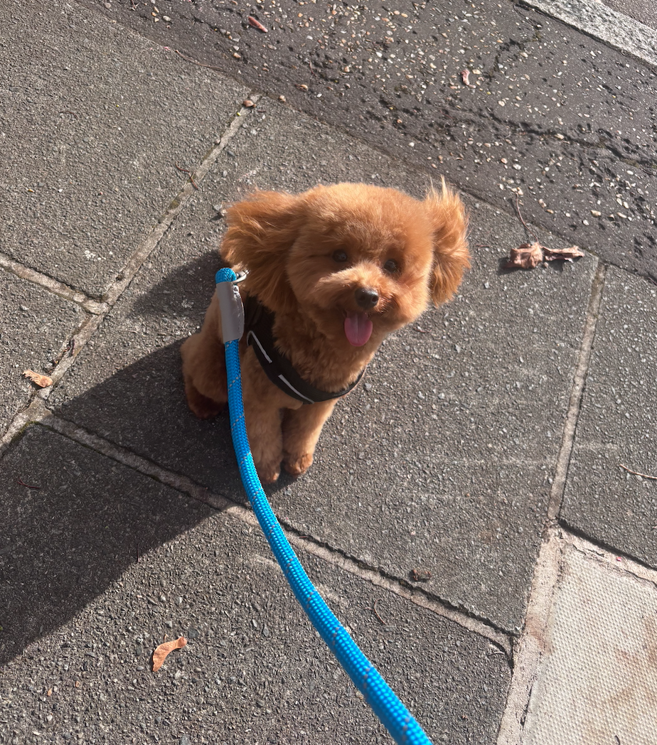 Screenshot 2026-04-14 at 14.18.06.png