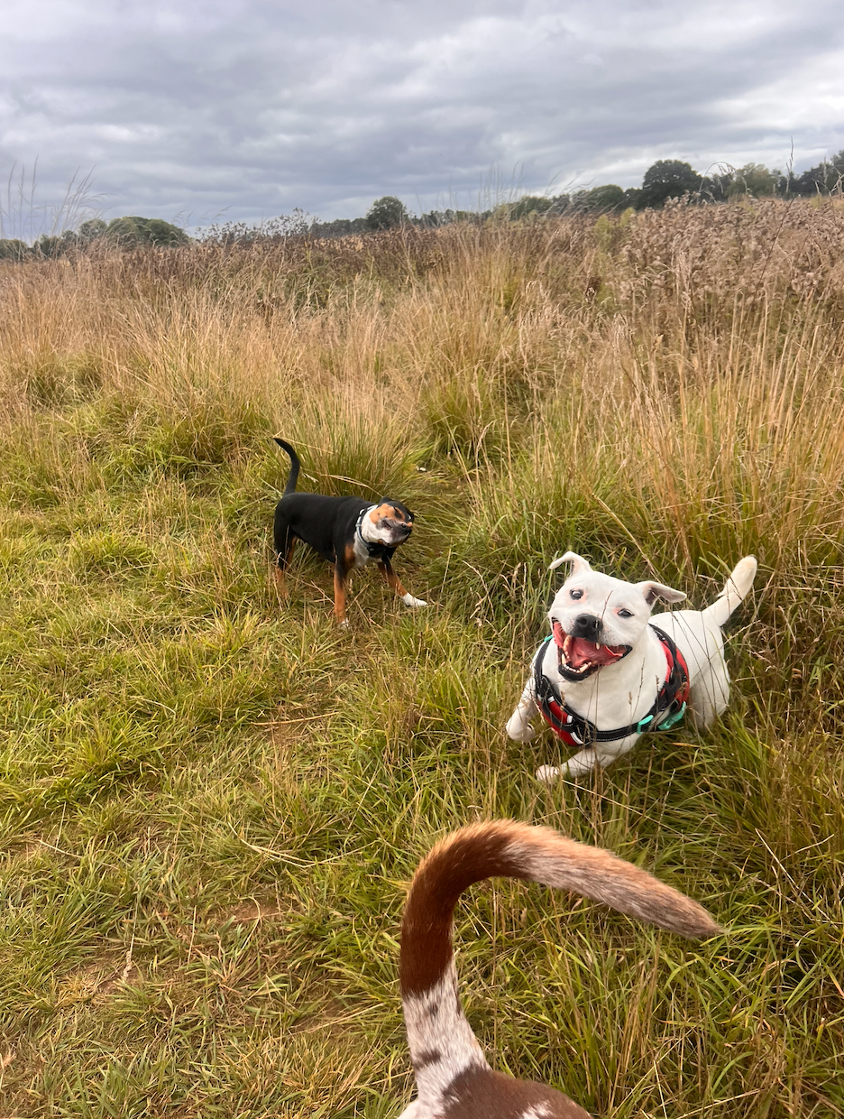 Screenshot 2026-04-13 at 06.49.01.png