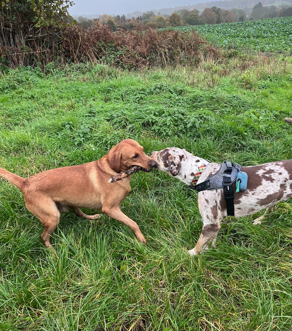 Screenshot 2026-04-14 at 14.16.18.png