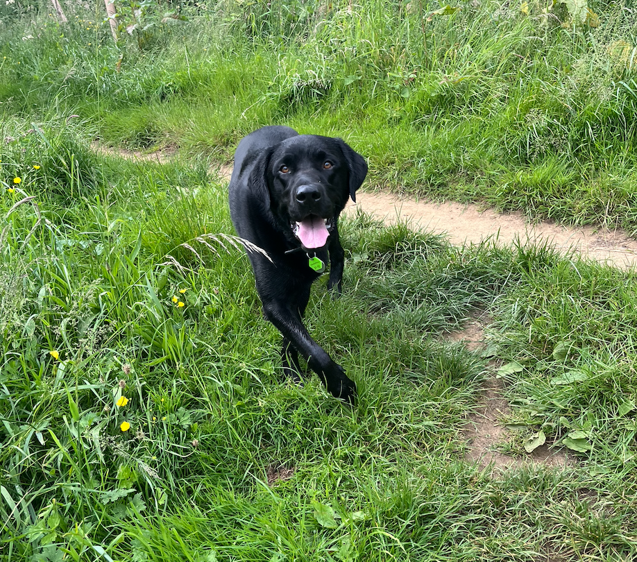 Screenshot 2026-04-14 at 14.17.28.png