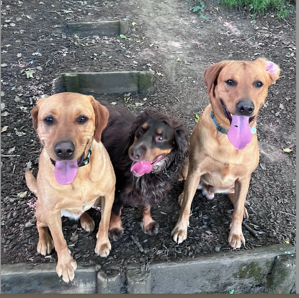 Screenshot 2026-04-14 at 14.23.32.png