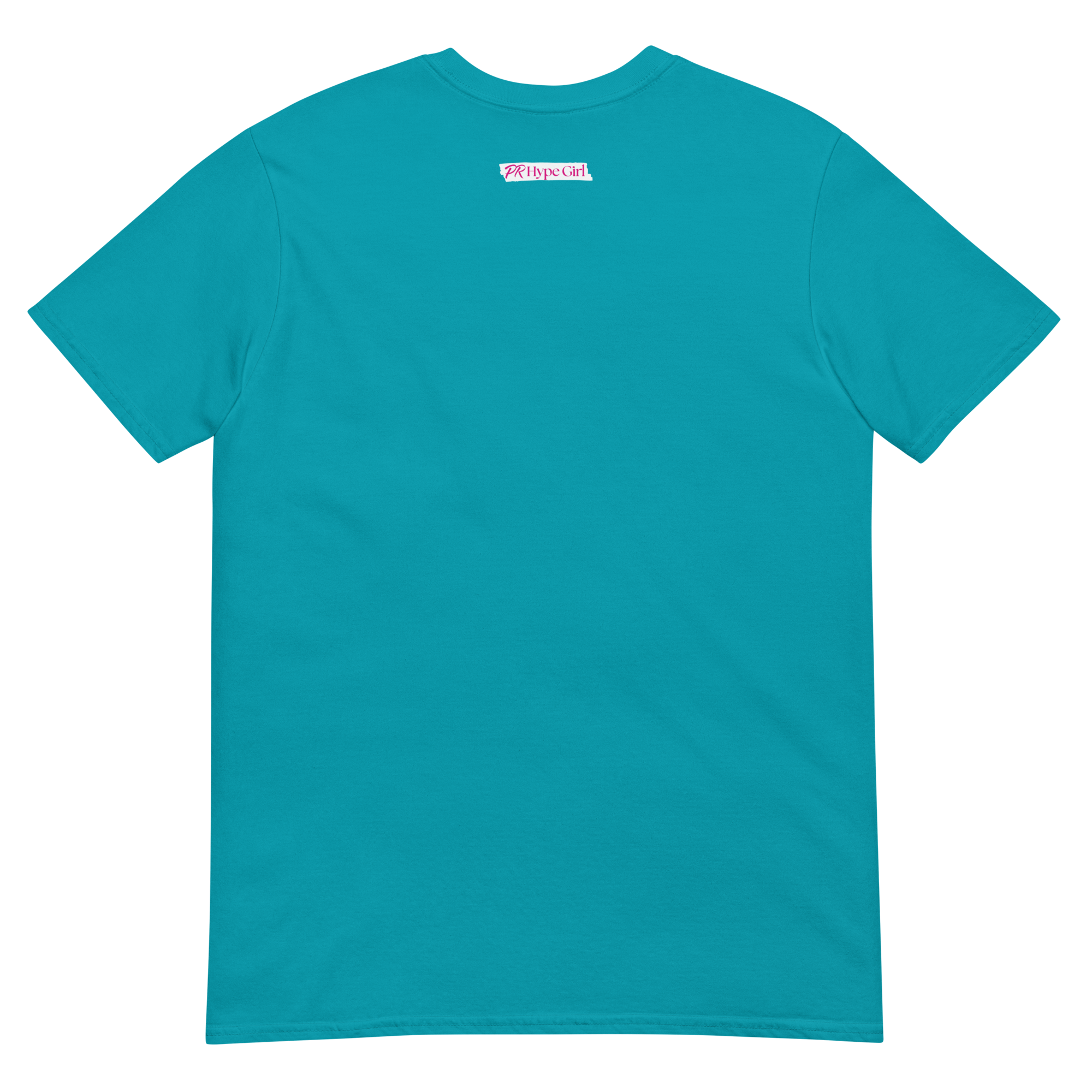 unisex-basic-softstyle-t-shirt-tropical-blue-back-6ab1c207e8ff4.png