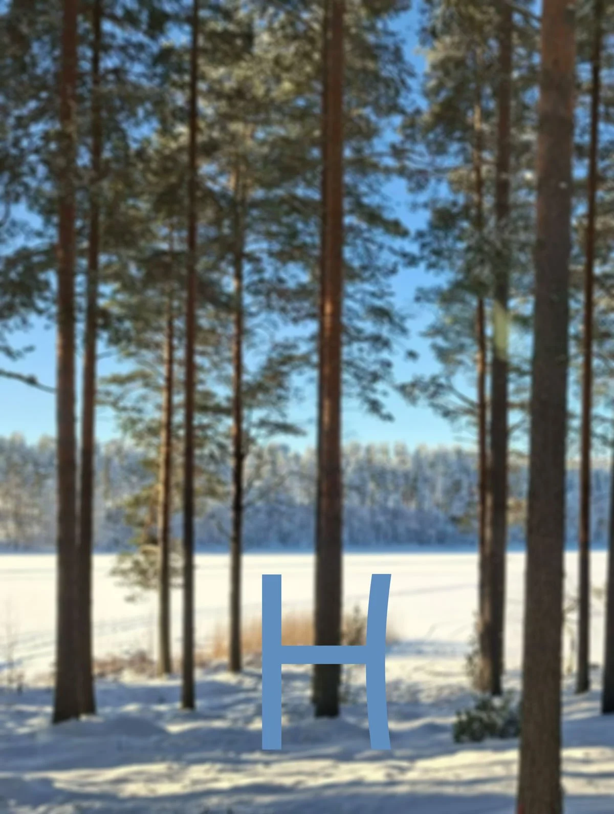 Pihasaunat sauna Halodome
