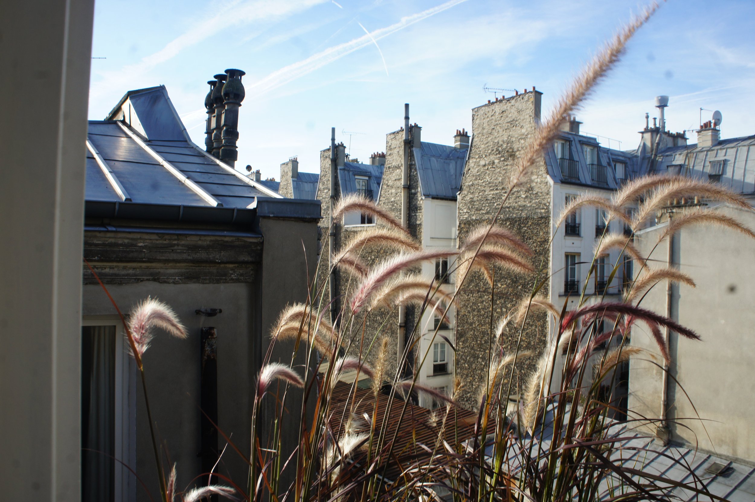 Vue d'un quartier résidentiel parisien avec des toits en métal, des cheminées, et des herbes hautes au premier plan par une journée ensoleillée.