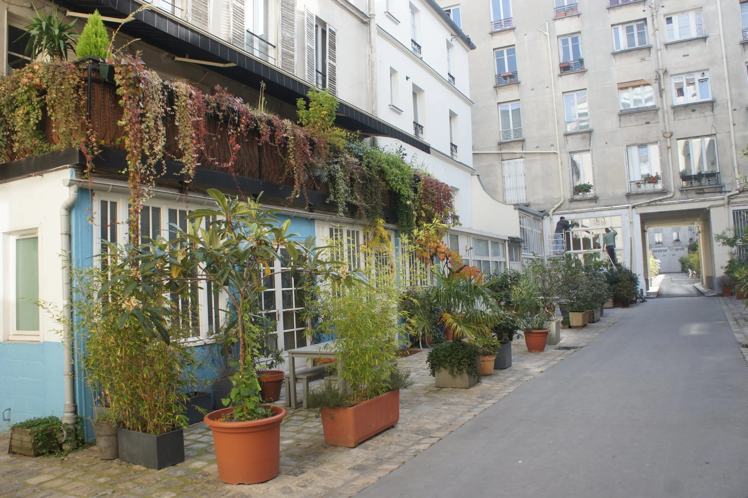 Cour