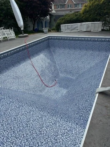 4242.jpg