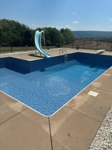 4239.jpg