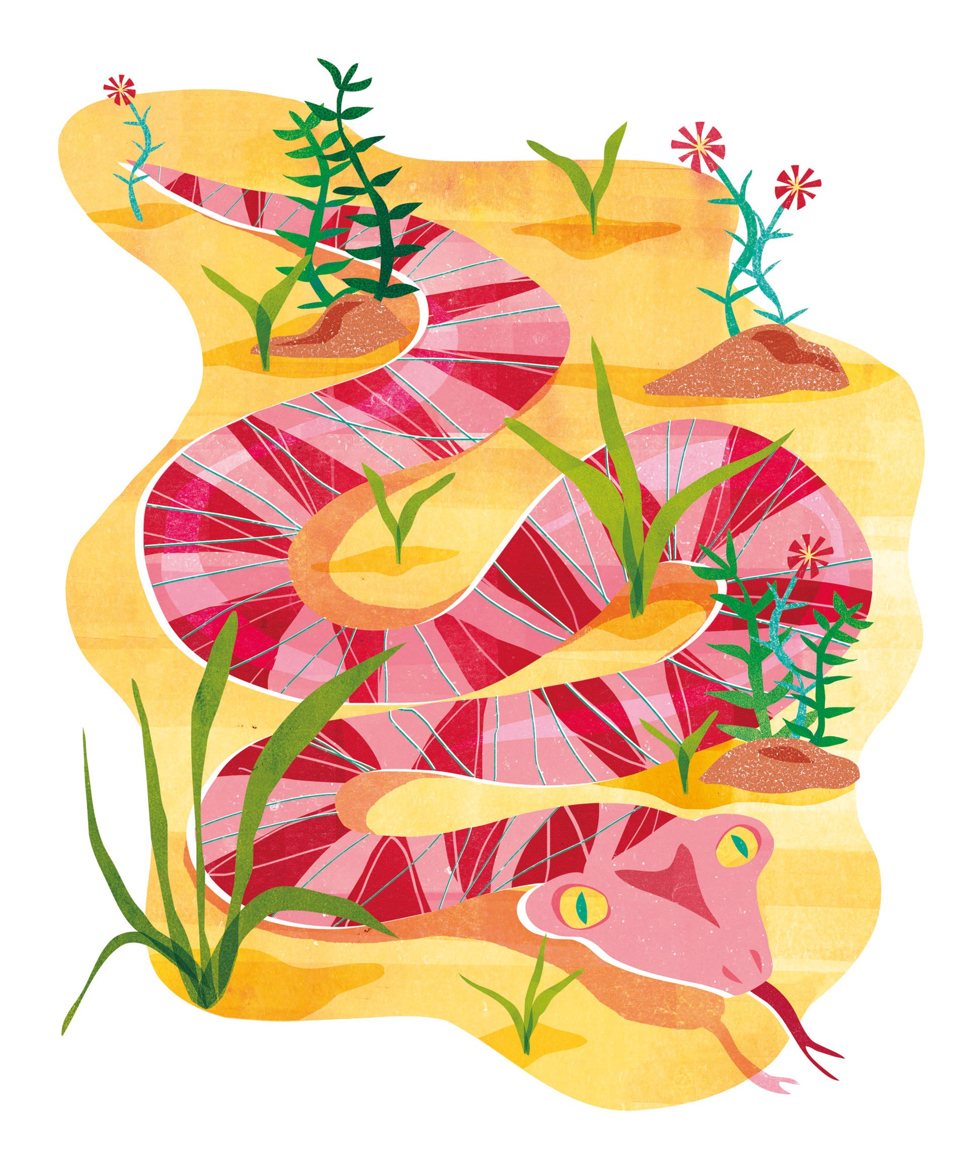 Scoop-Magazine-Snake-Illustration-Astrid-Weguelin.jpg
