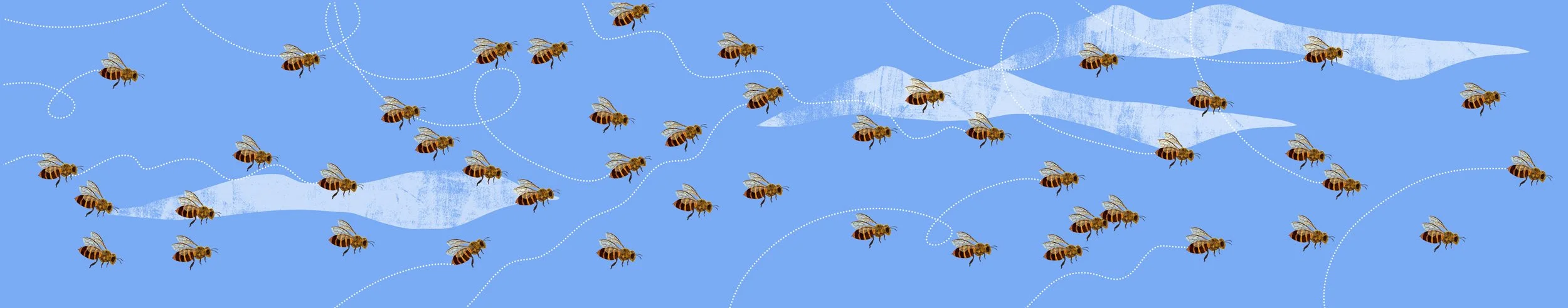 Honeybee-Book-Illustration-2-Astrid-Weguelin.jpg