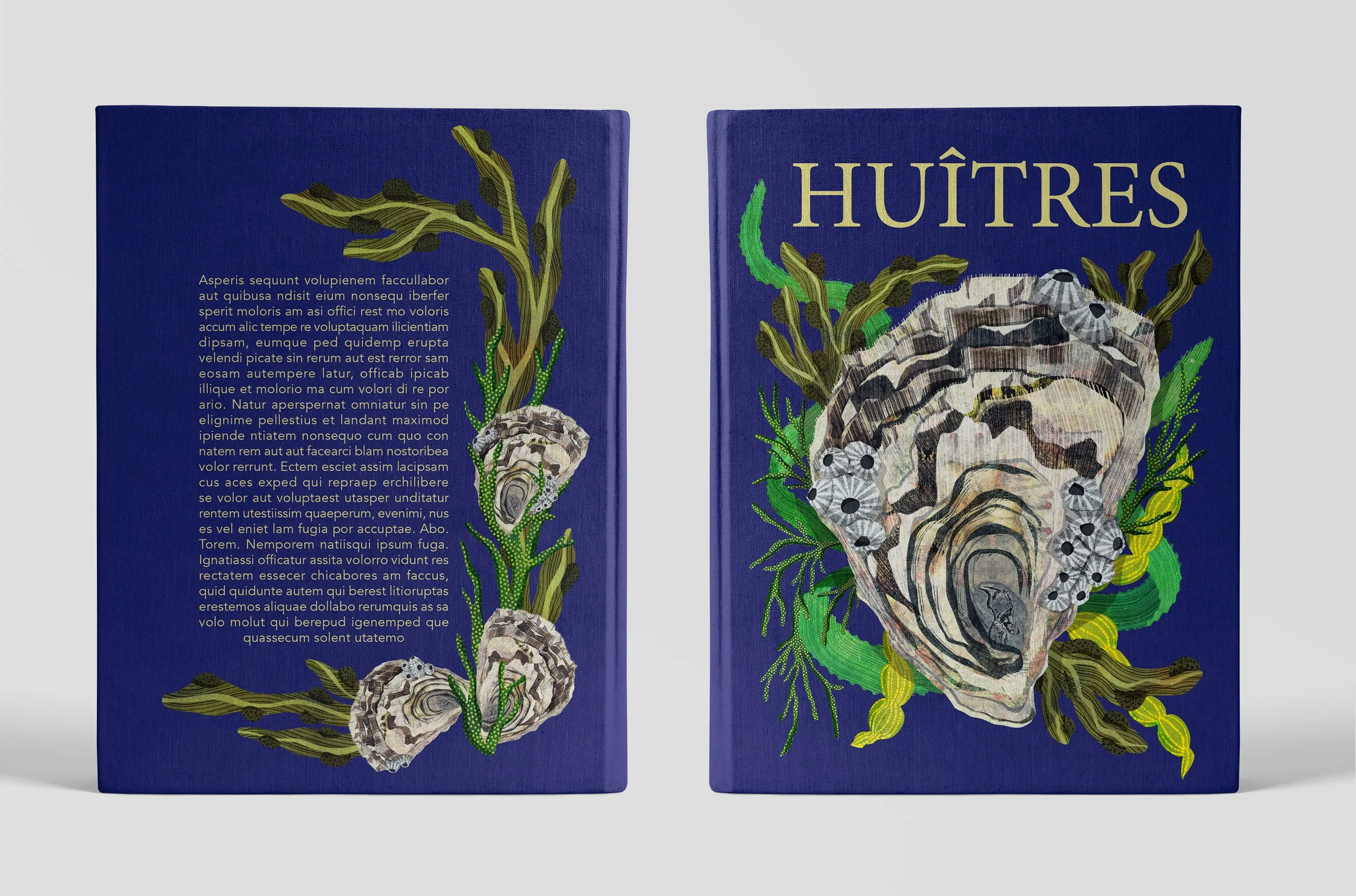 Hachette-Oysters-Cover-Mock-Both-Illustration-Astrid-Weguelin.jpg