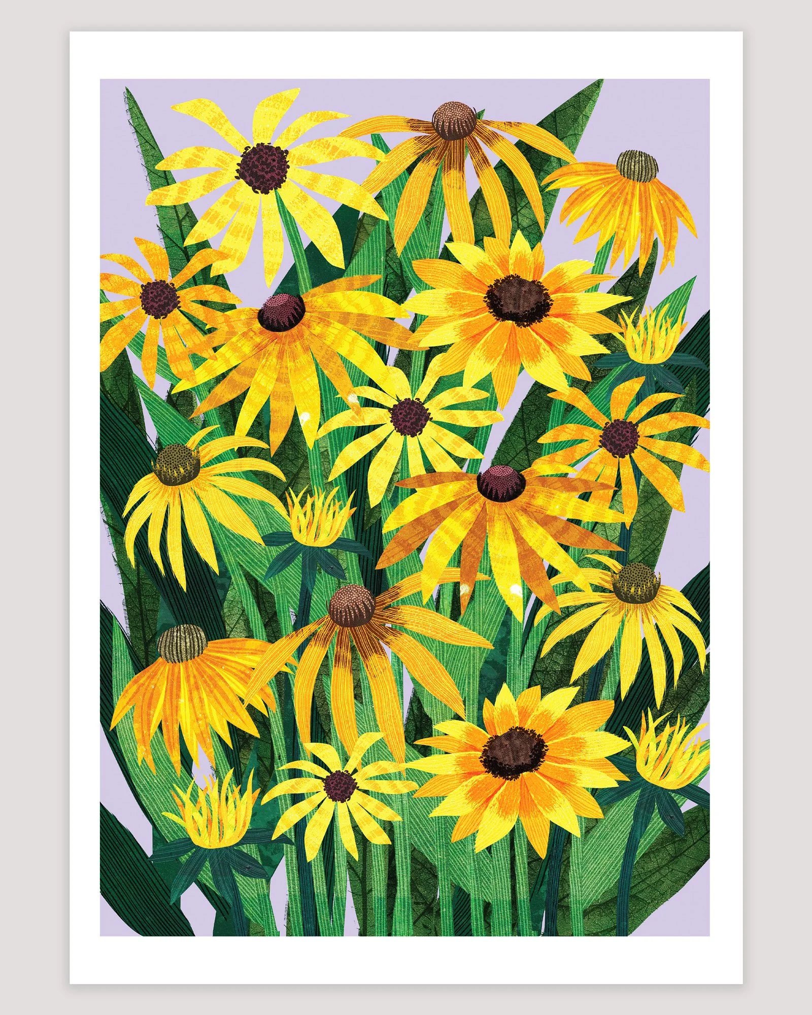 Art-Print-Flowers-Rudbeckia-Astrid-Weguelin.jpg