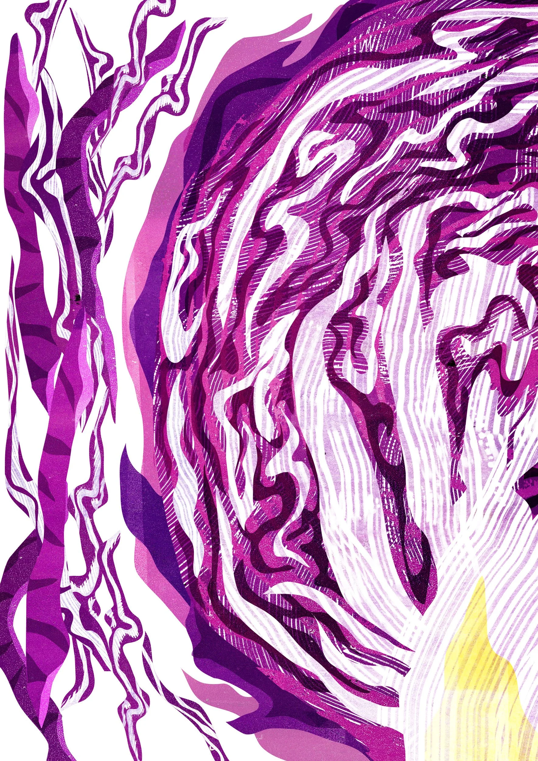 Vegetable-Illustration-RedCabbage-Astrid-Weguelin.jpg