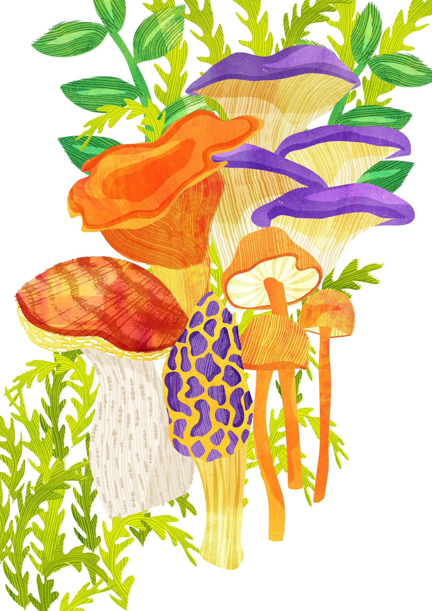 Vegetable-Illustration-Mushroom-Astrid-Weguelin.jpg
