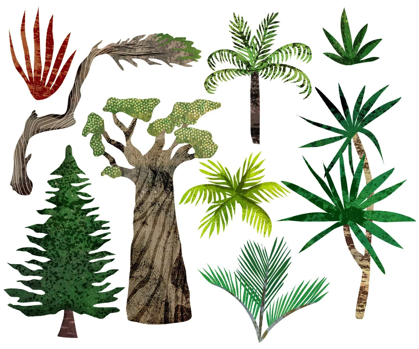NewZeland-Crops-Trees.jpg