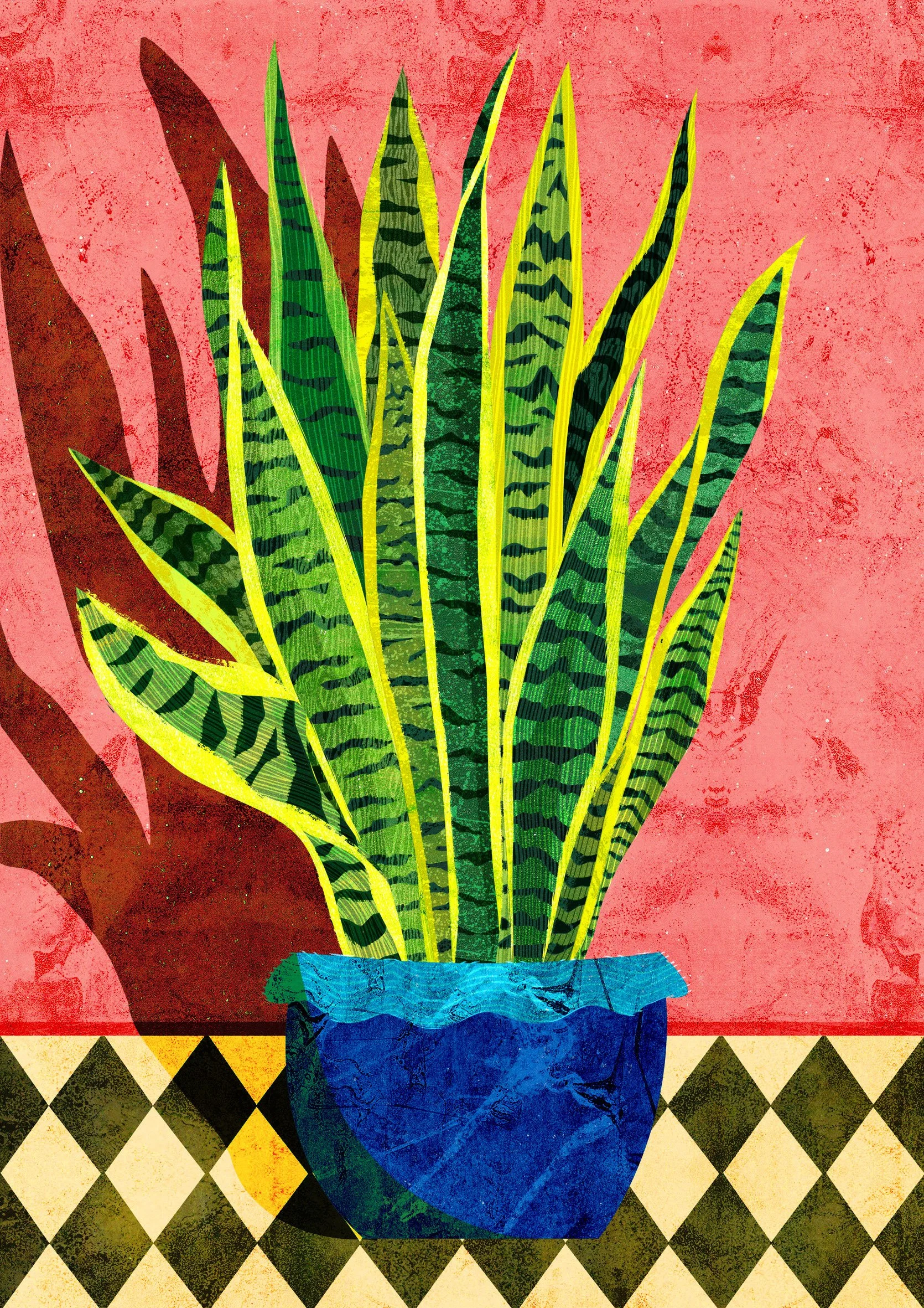 Houseplants-Snake-Plant-Illustration-Astrid-Weguelin.jpg
