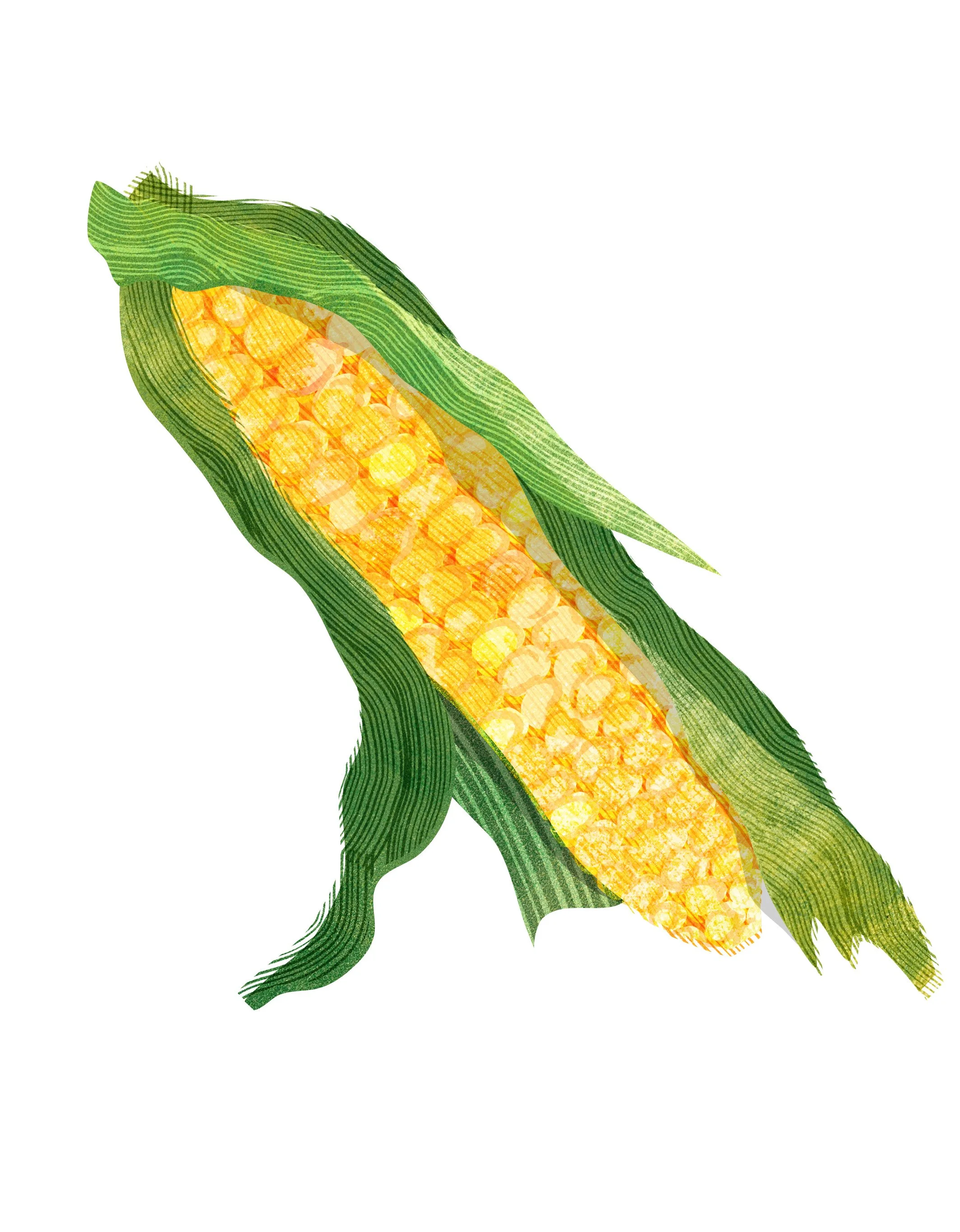Soups-Cookbook-Ingredients-Corn-Illustration-Astrid-Weguelin.jpg
