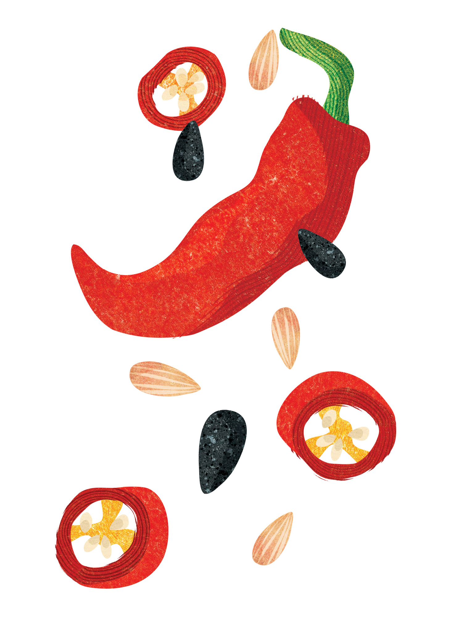 Kamis-Illustration-Chilli-Astrid-Weguelin.jpg
