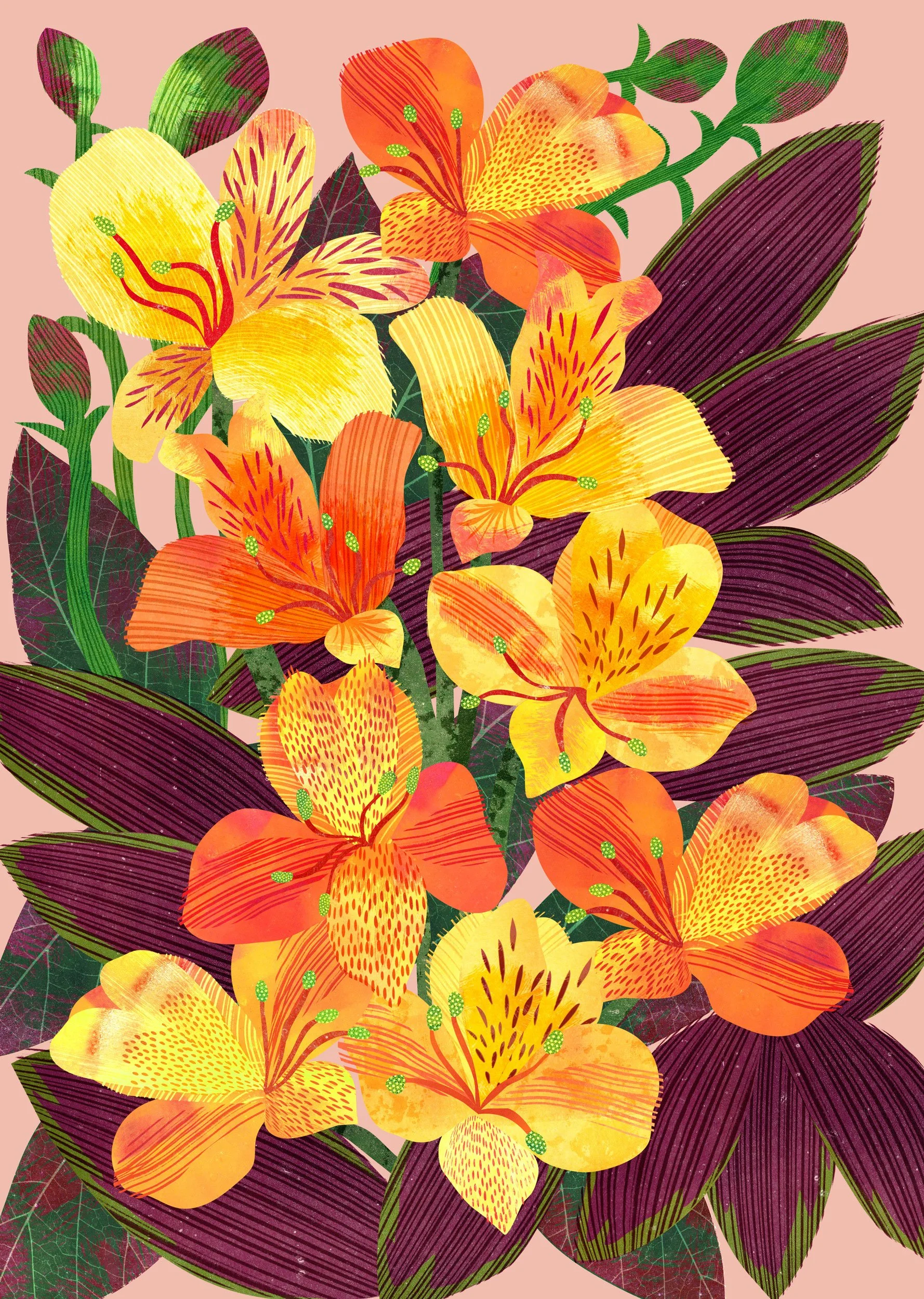Flower-Illustration-Alstroemeria-Astrid-Weguelin.jpg