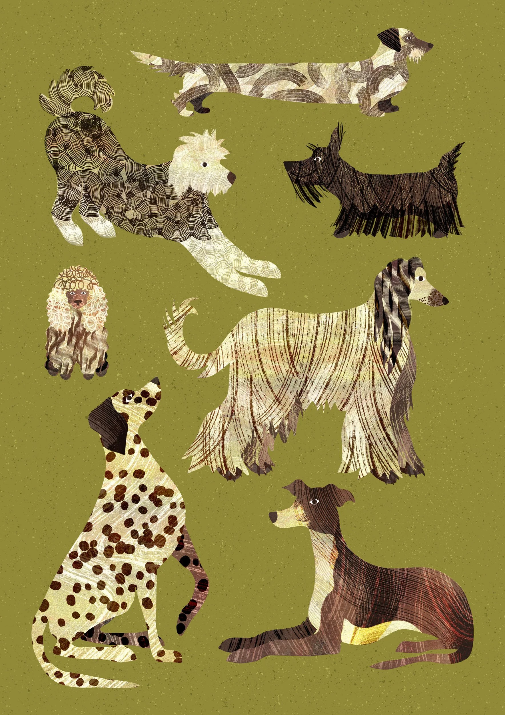 Dogs