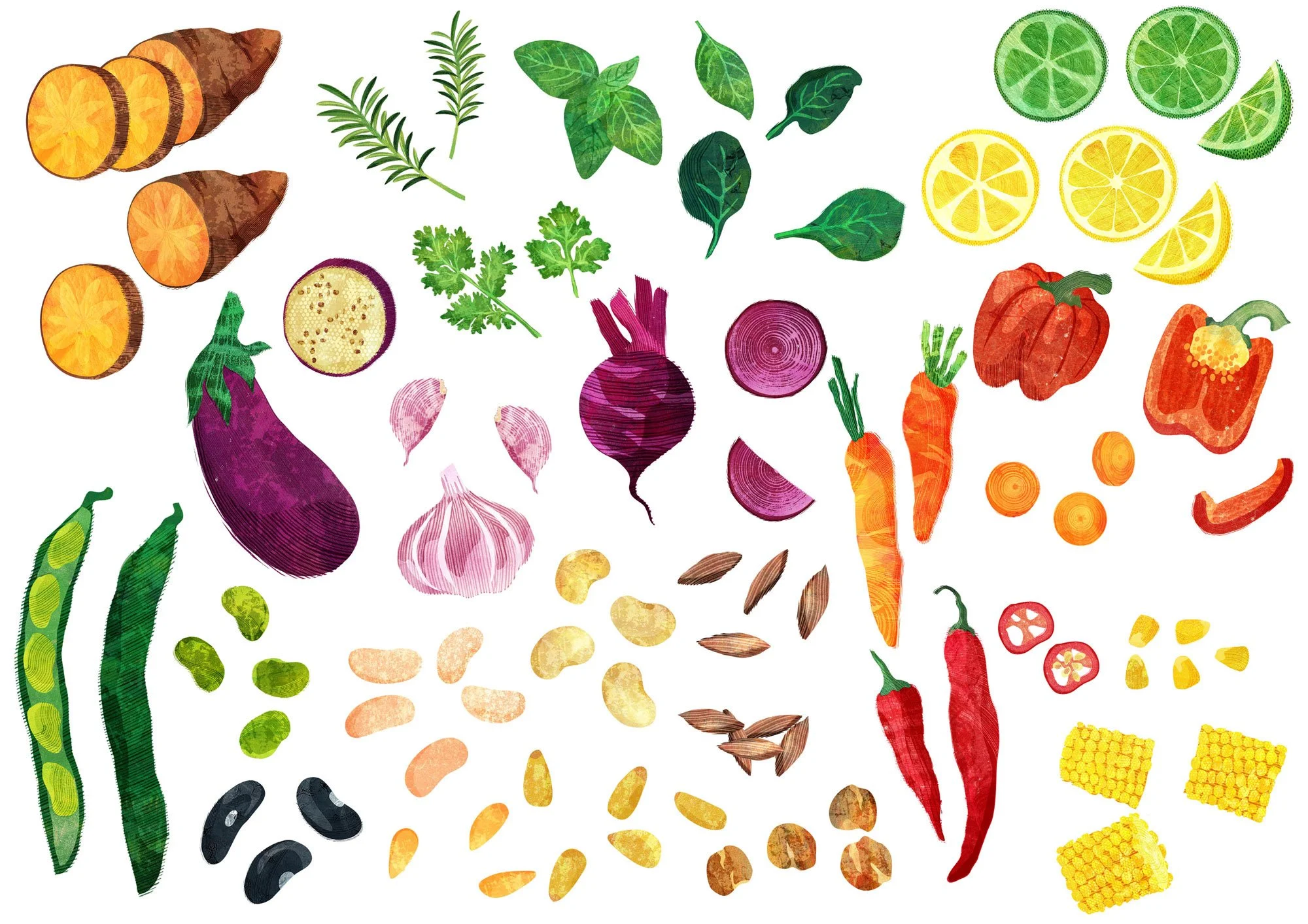 A selection of spot vegetable illustrations created for Gosh! Food Packaging