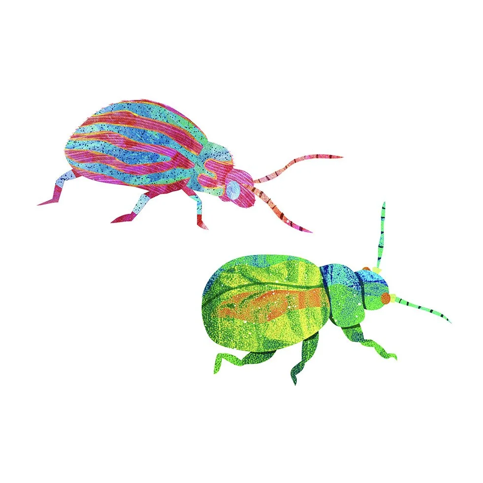 Insects-Illustration-Beetles-Astrid-Weguelin.jpg