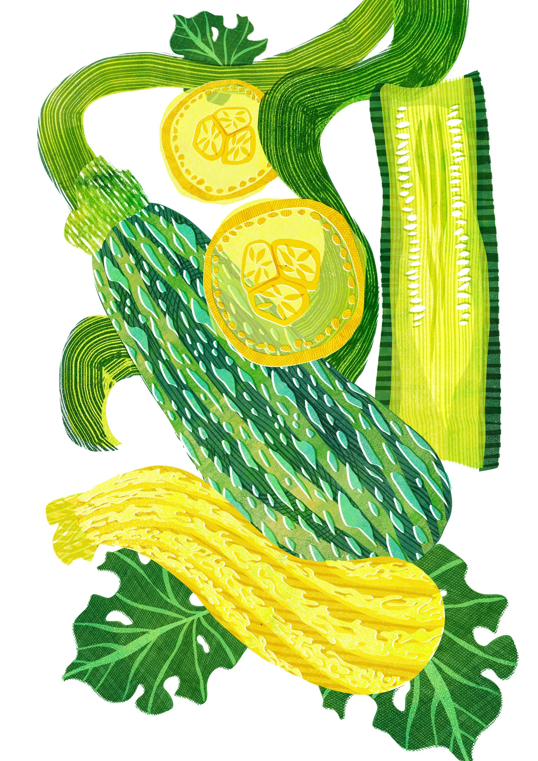 Vegetable-Illustration-Courgette-Astrid-Weguelin.jpg