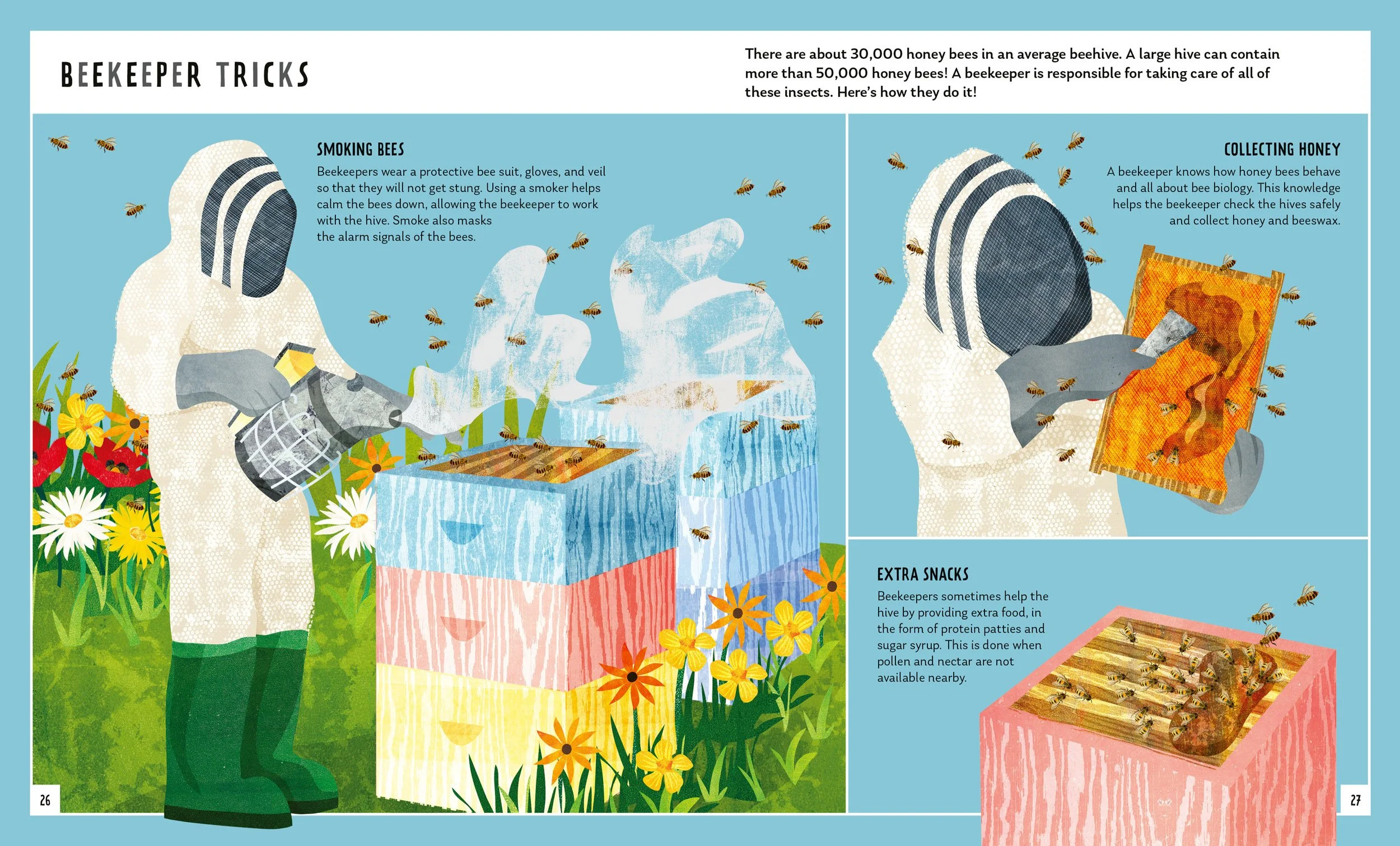 Honeybee-Book-Spread-4-Illustration-Astrid-Weguelin.jpg