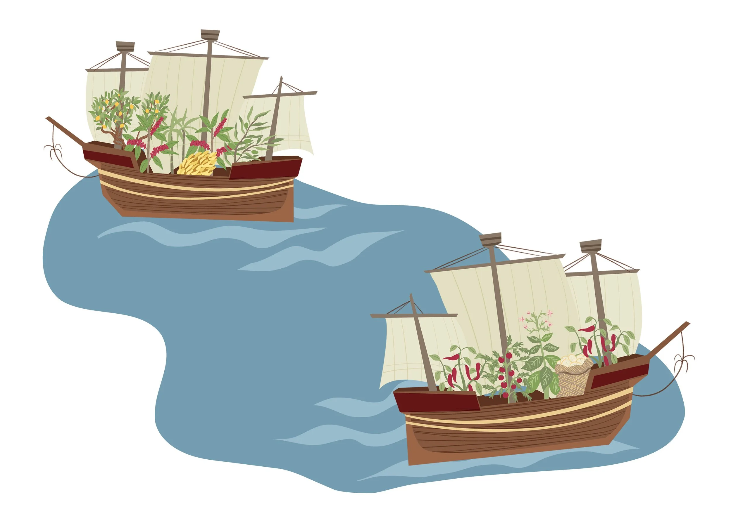 Illustration 1 - Colombian Exchange.jpg