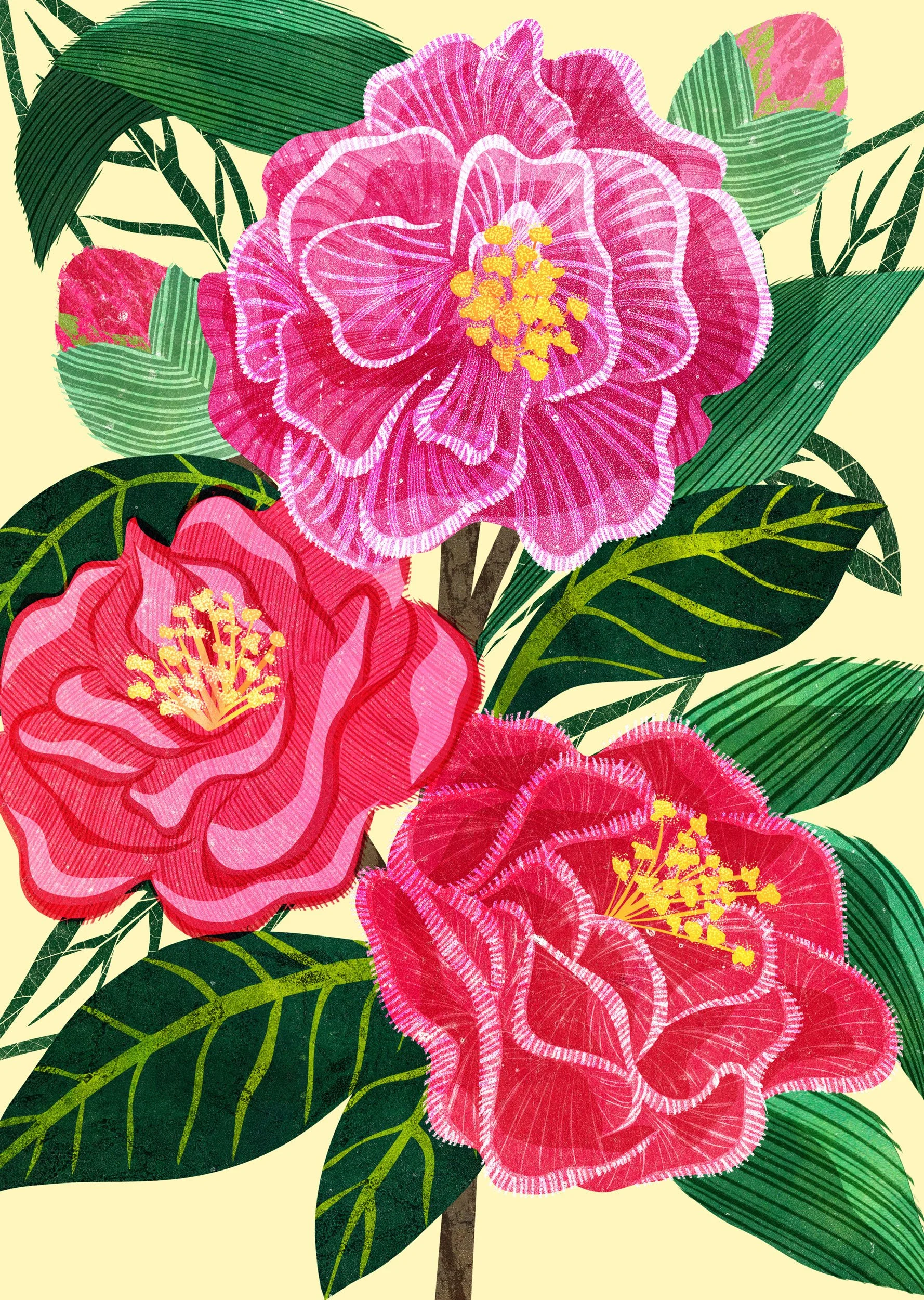 Flower-Illustration-Camelia-Astrid-Weguelin.jpg