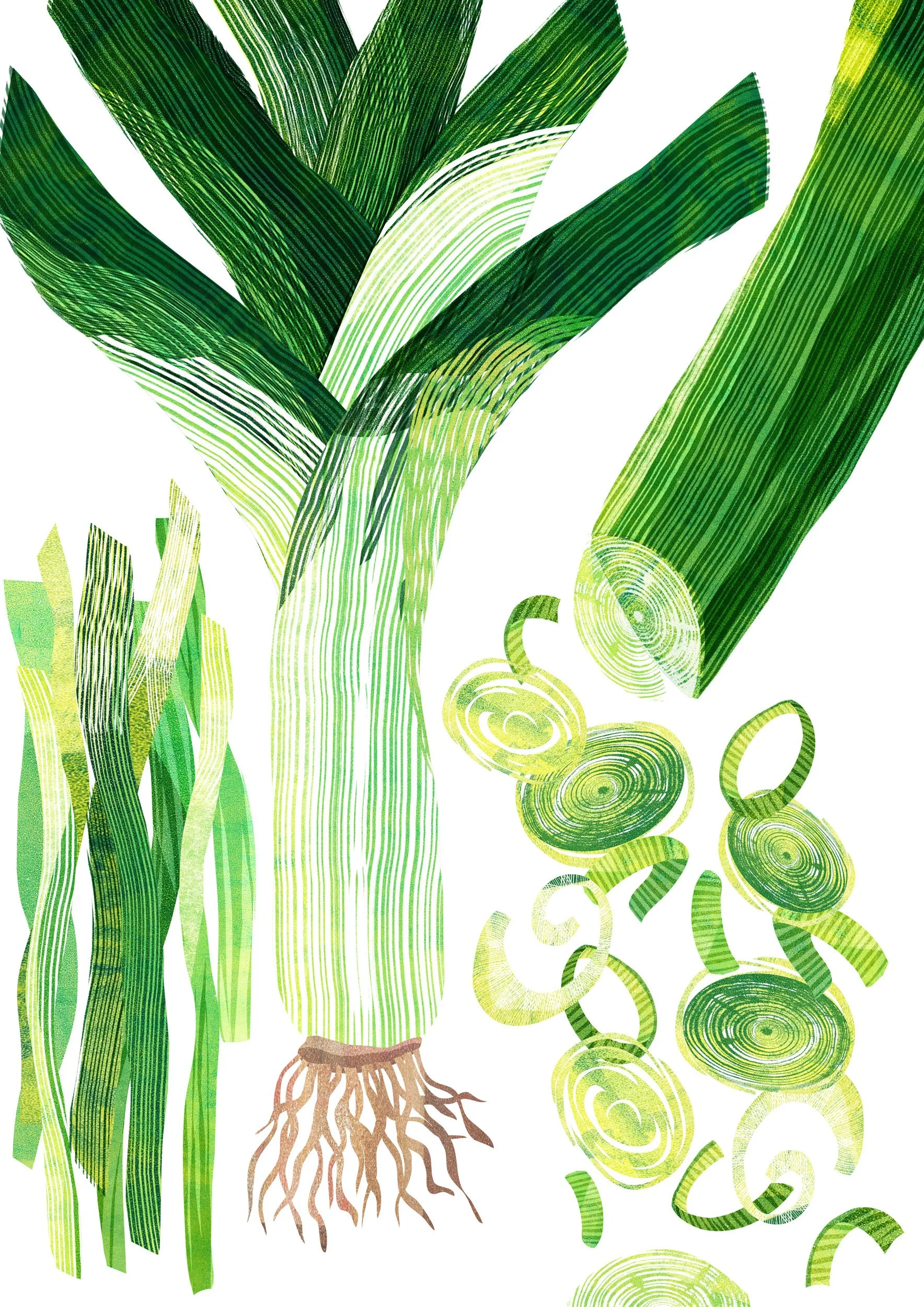 Vegetable-Illustration-Leeks-Astrid-Weguelin.jpg