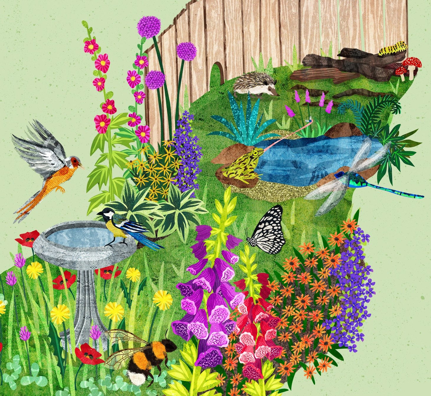 Rewild Your Garden
