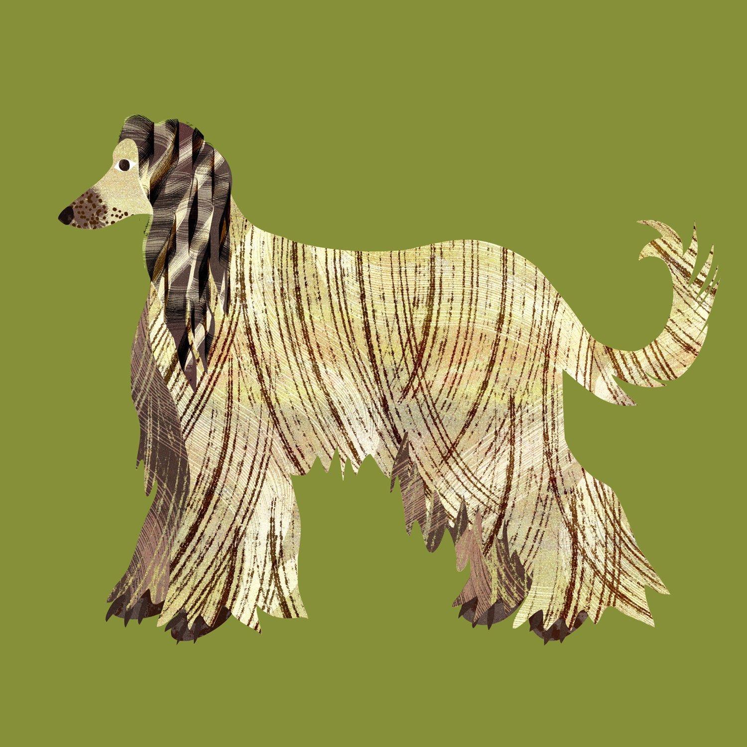 Textured illustration of an Afghan Hound dog in a collage style with handmade textures