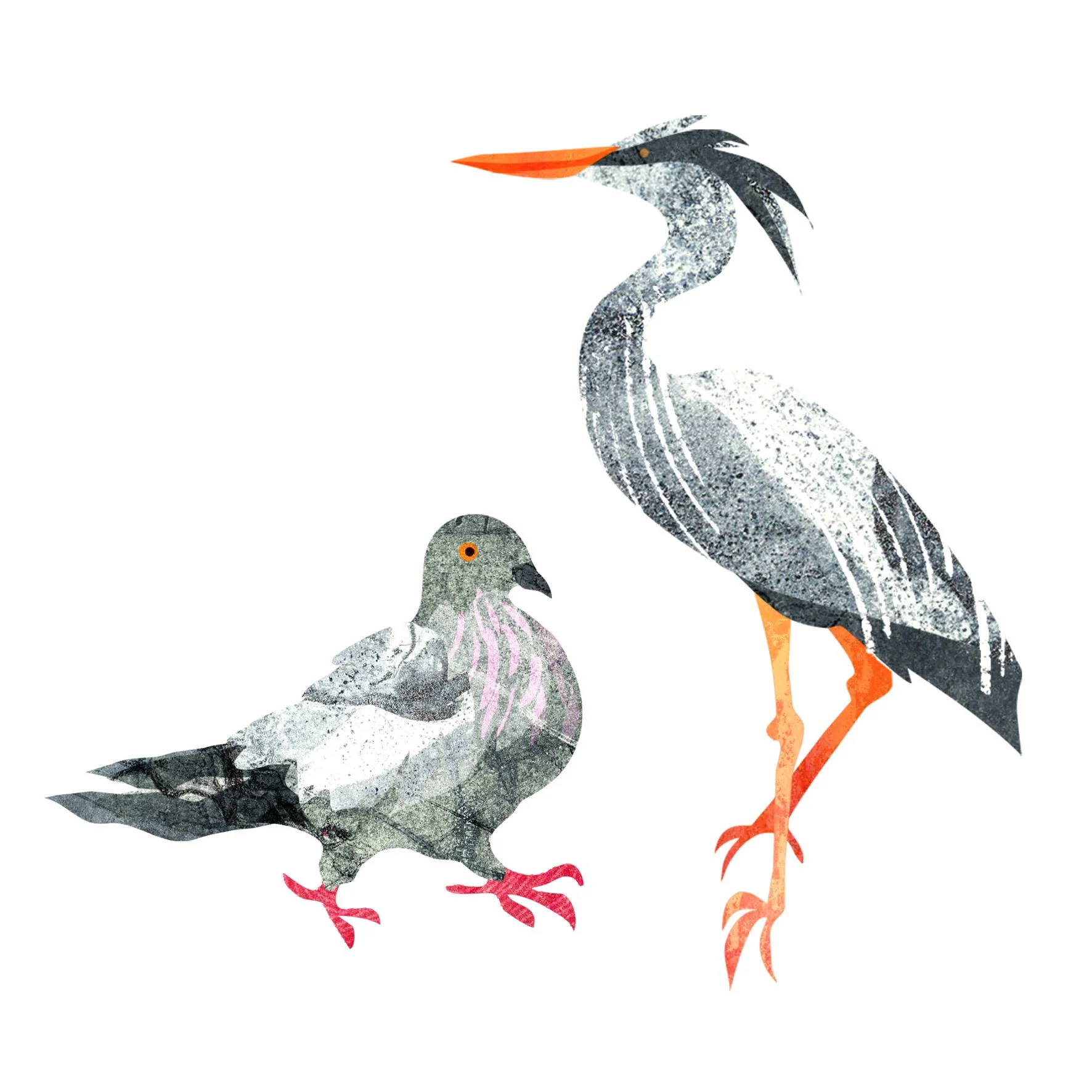 Map-Spot-Illo-Birds.jpg