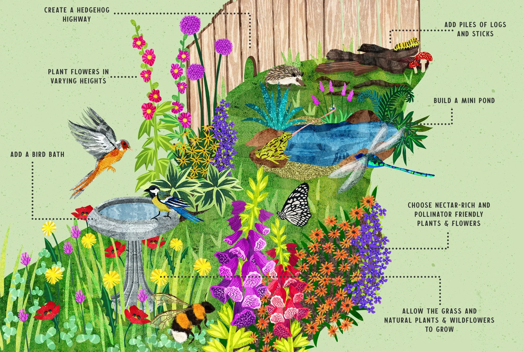 Illustration of a bio-diverse garden, with written tips surrounding it on how to rewild your garden.