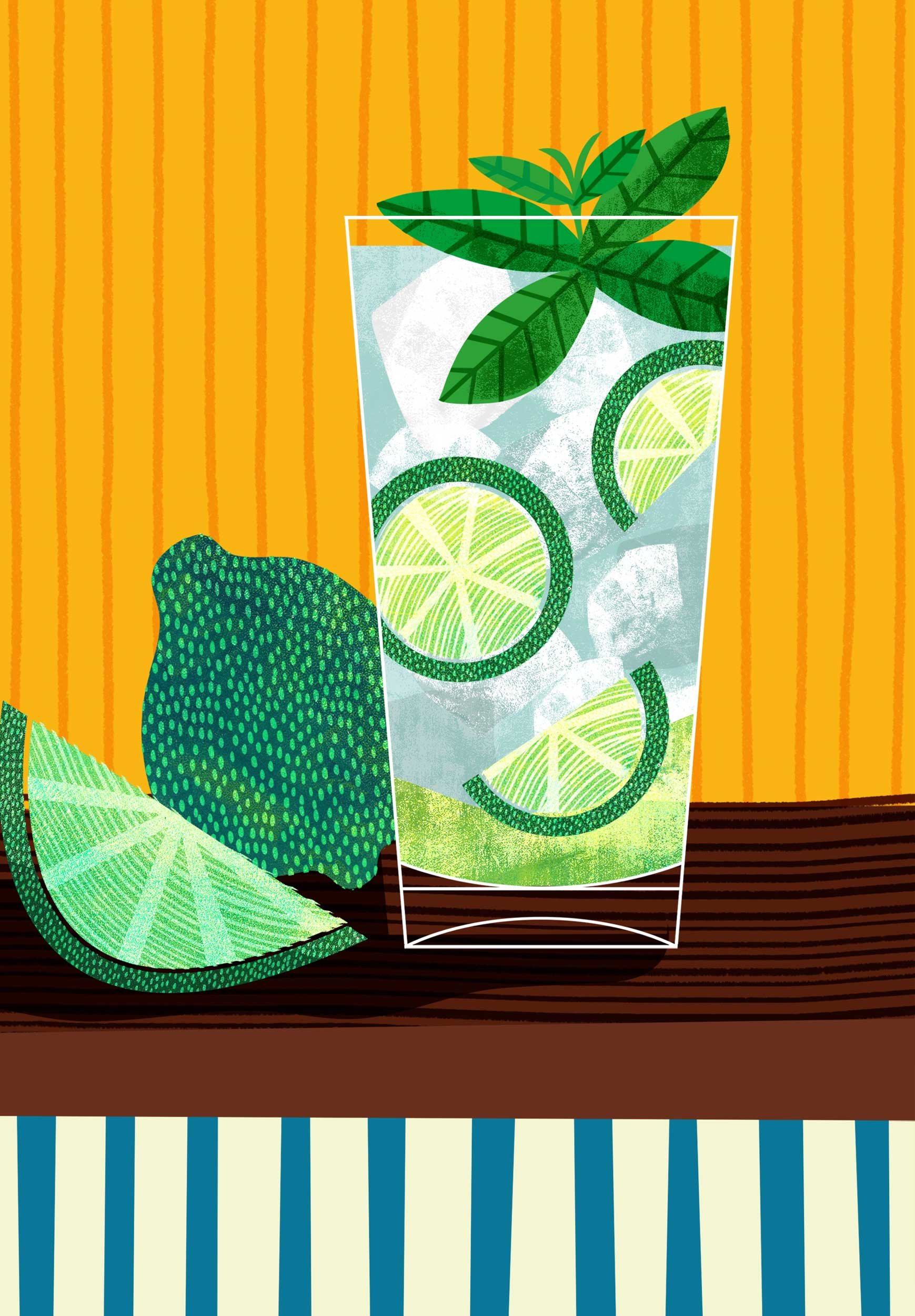 Bookblock-Cocktail-Illustration-Mojito-Astrid-Weguelin.jpg