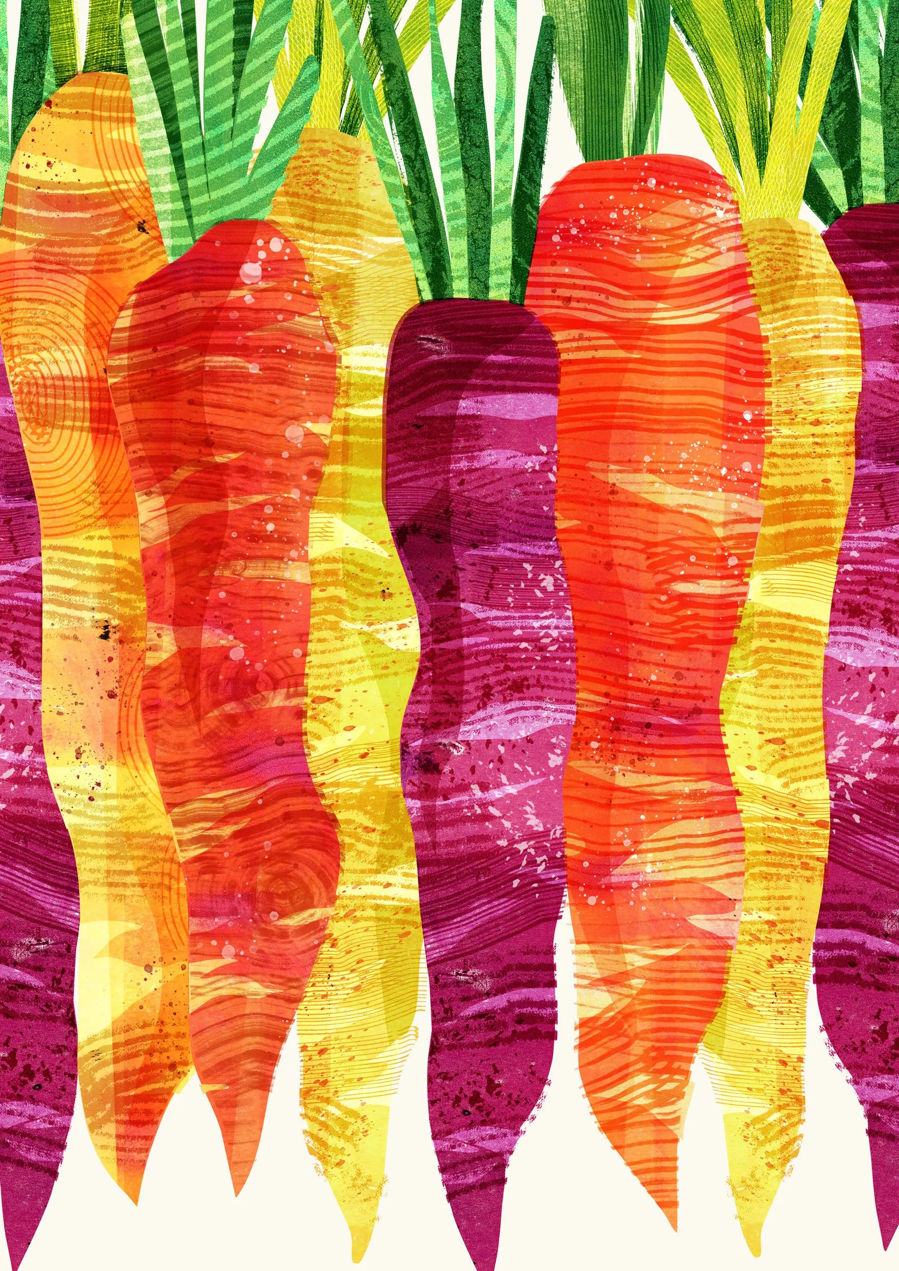 Vegetable-Illustration-Carrots-Astrid-Weguelin.jpg