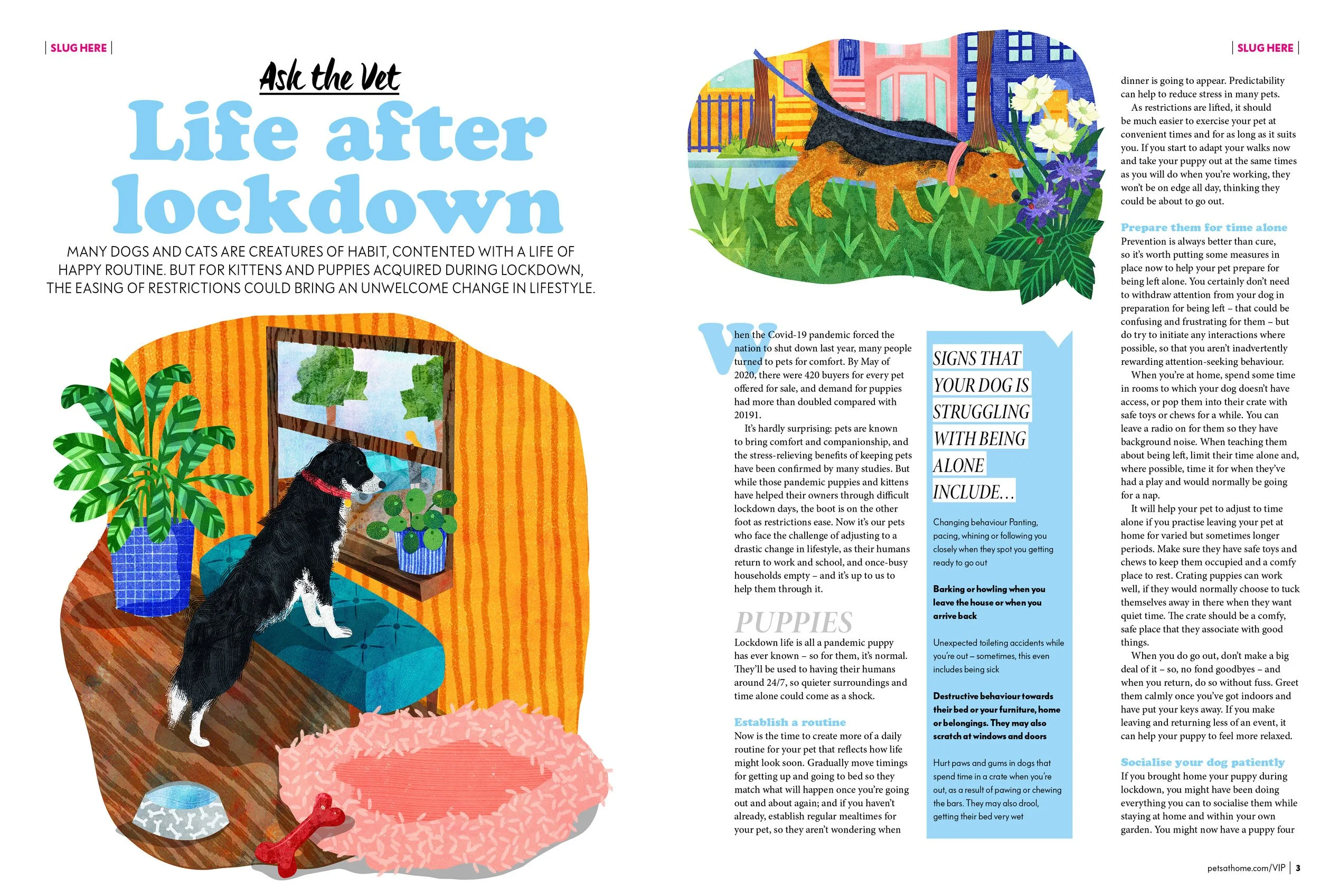 PetsHome-Editorial-Article-Spread-Astrid-Weguelin.jpg
