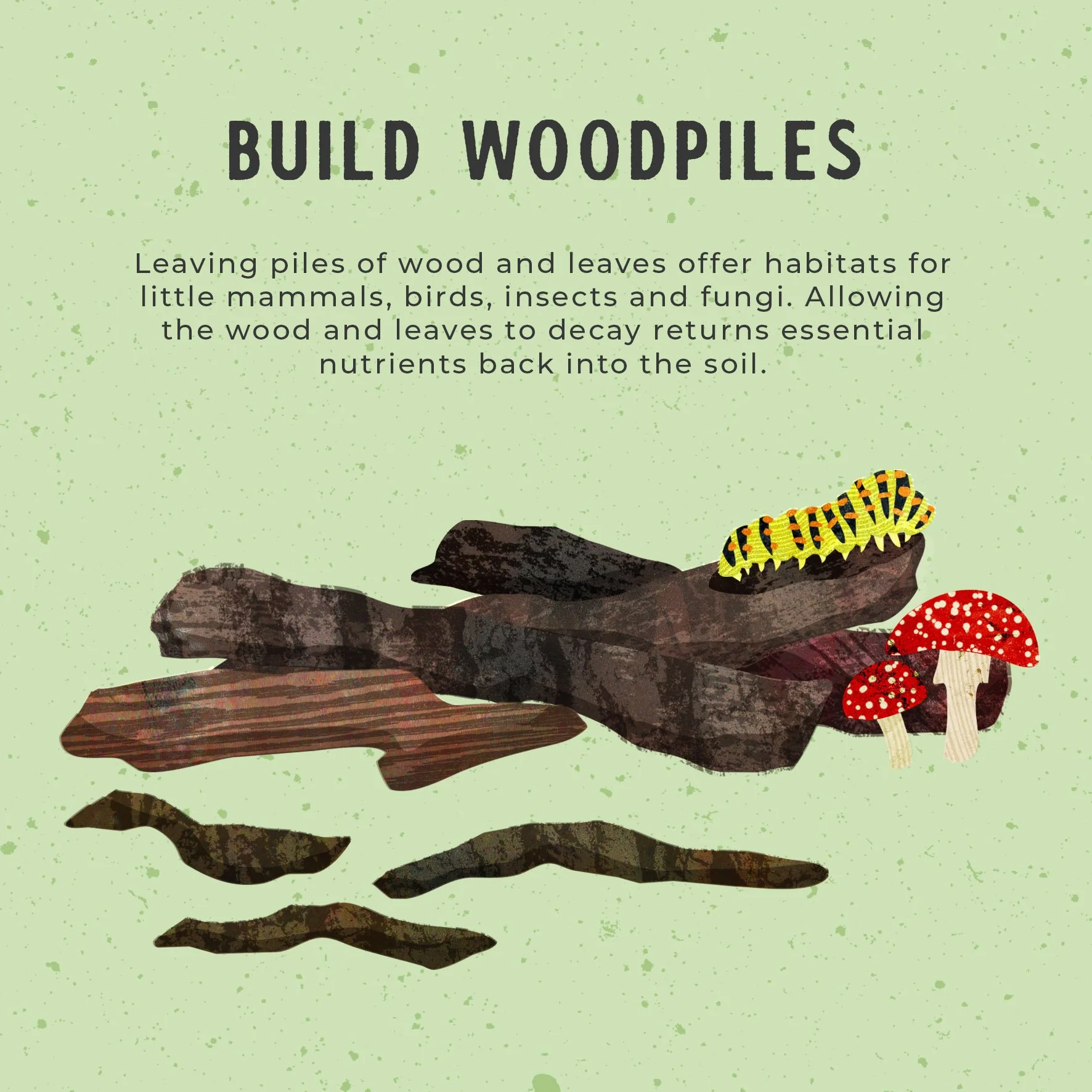 Rewilding-Woodpiles.jpg