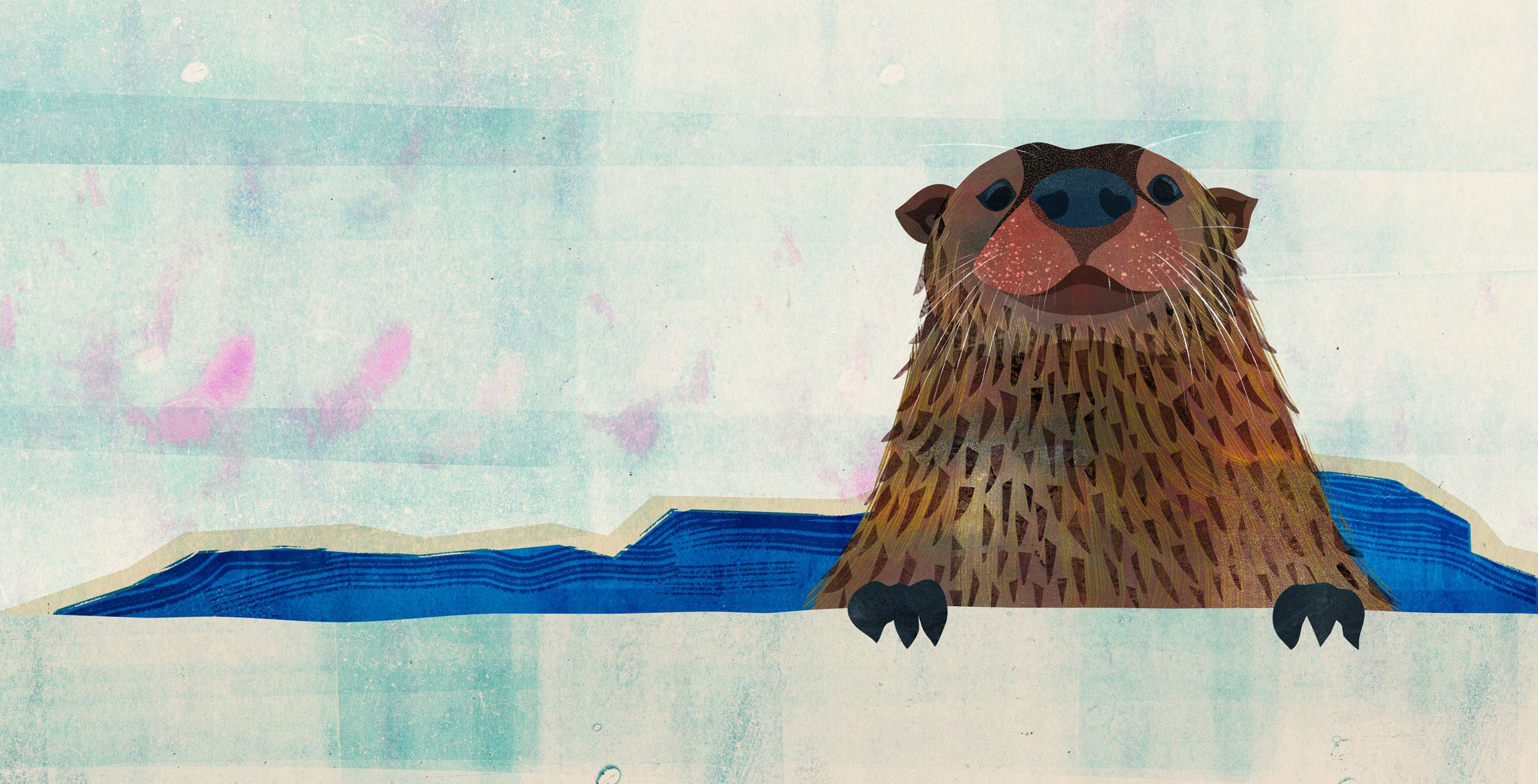 A cute river otter hunting in Yellowstone